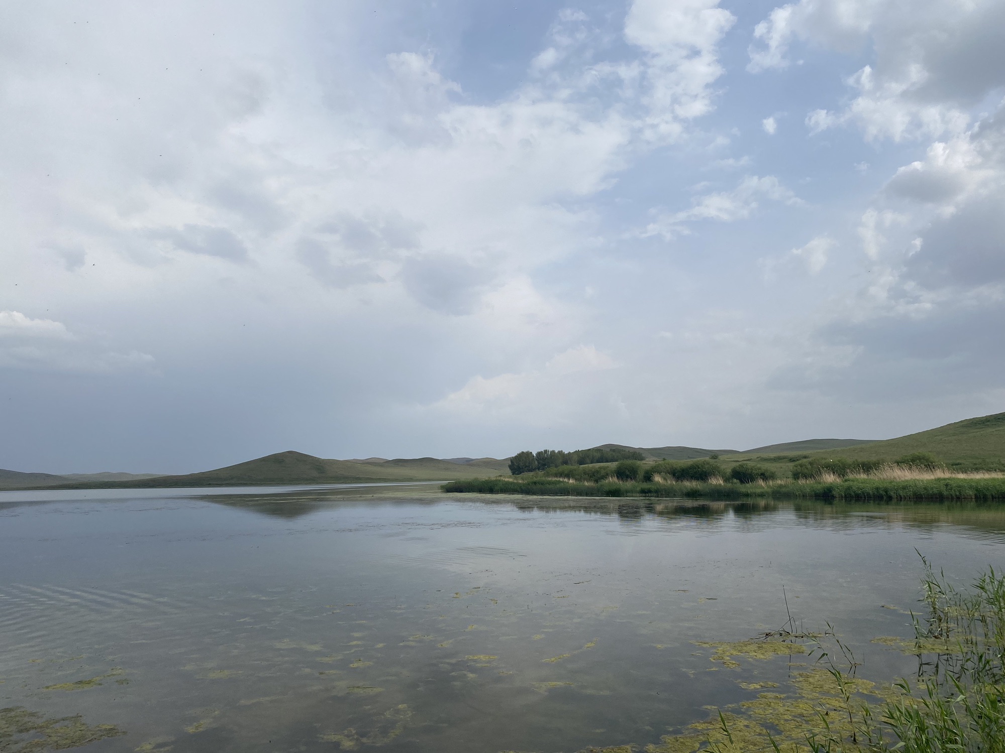 锡林九曲弯旅游区旅行图片 1