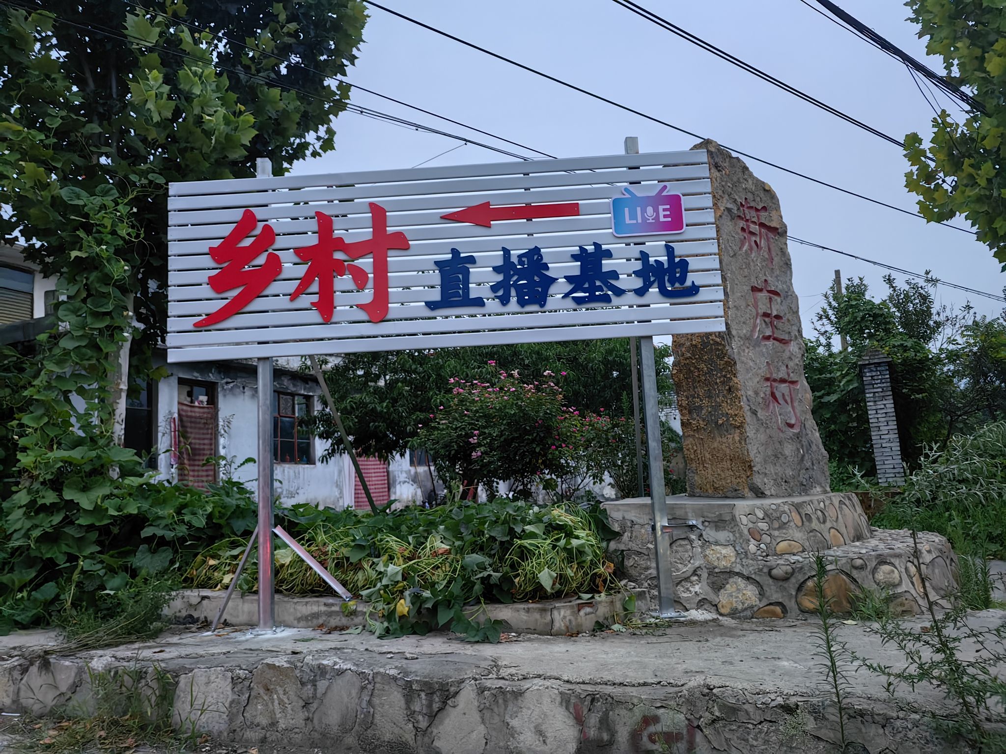窦王谷旅行图片 1