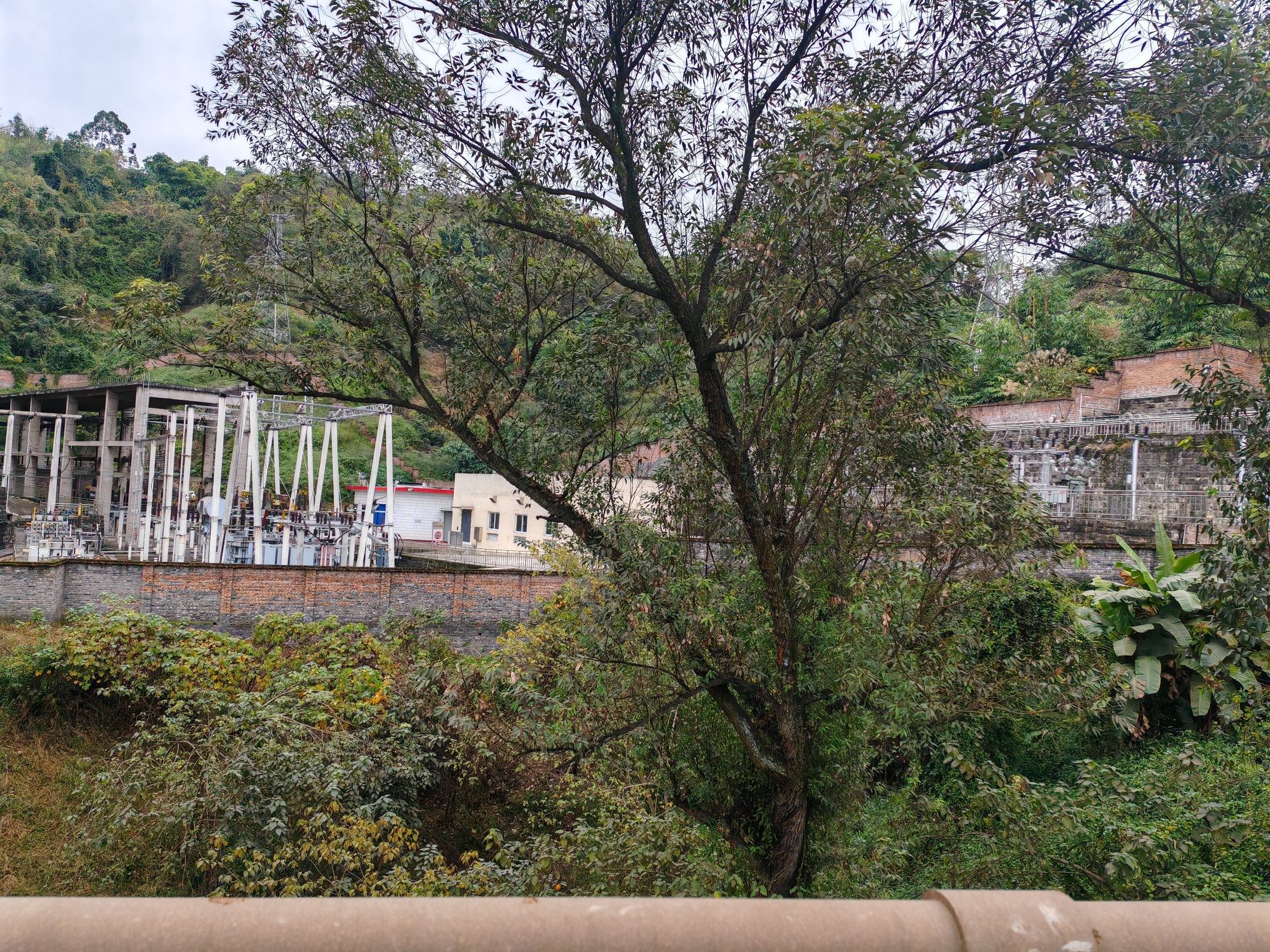 长寿文峰塔旅行图片 3