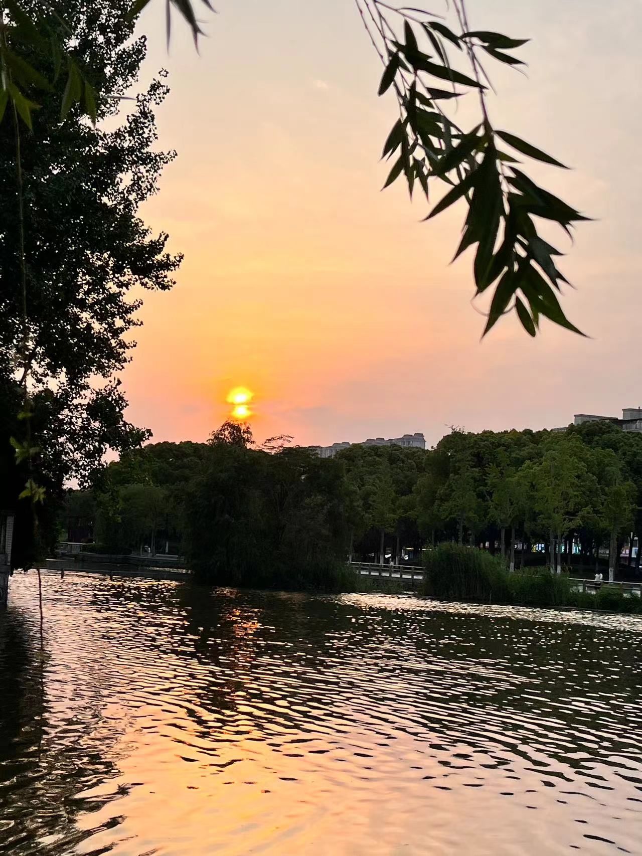 滨河廉政文化广场旅行图片 2