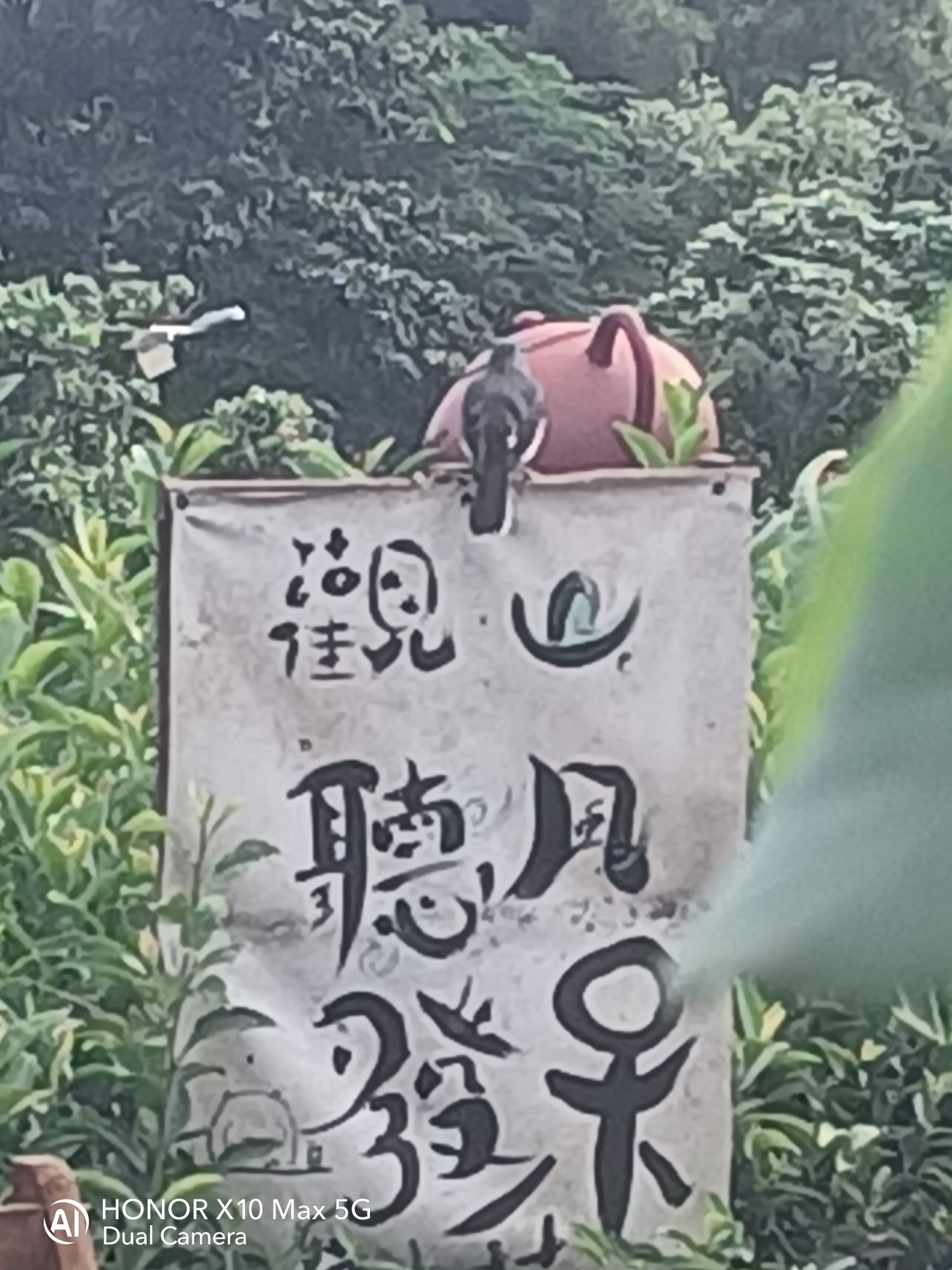 八国风情旅游度假区旅行图片 2