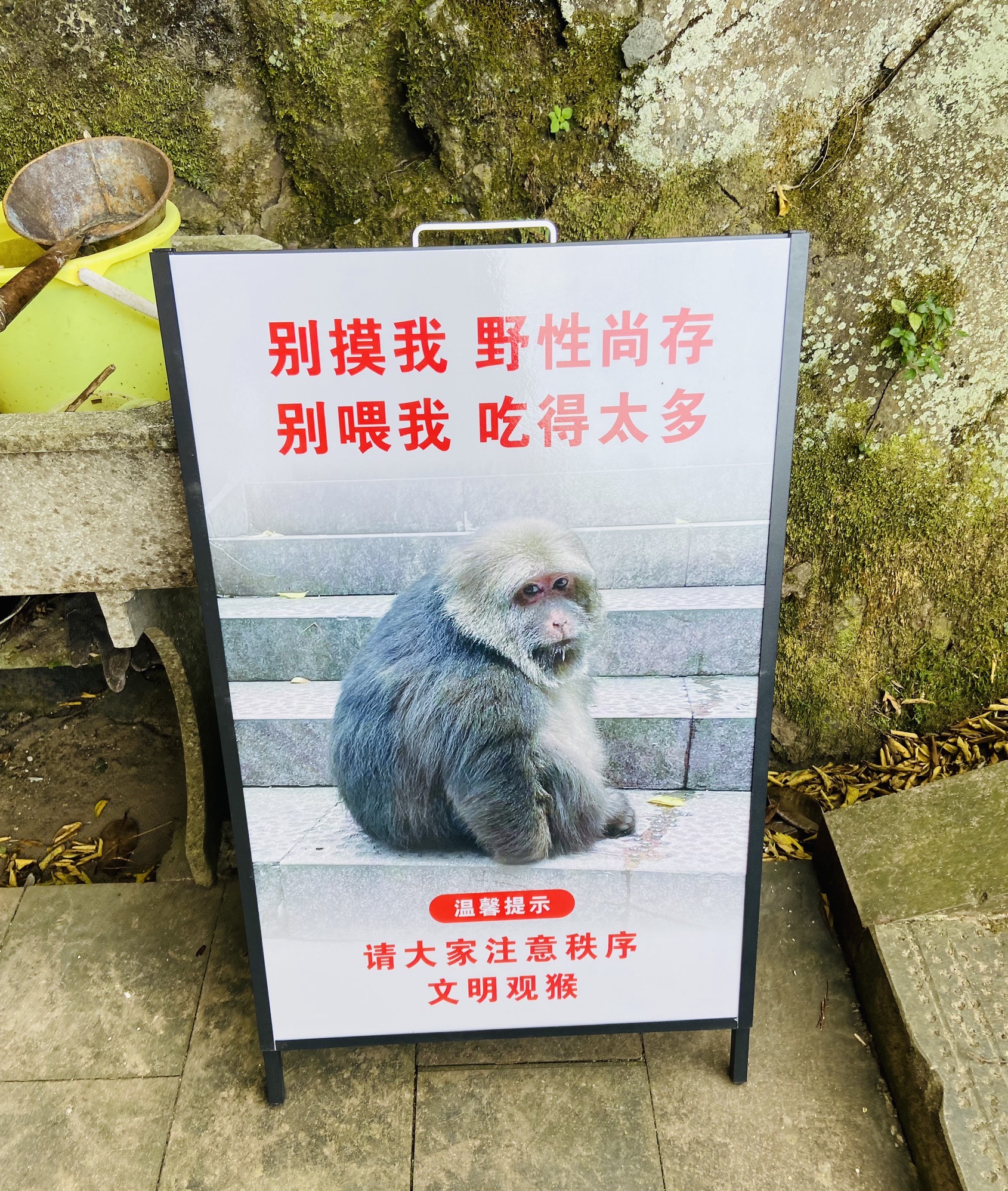 羊祜殿的第2张图片的图片资料