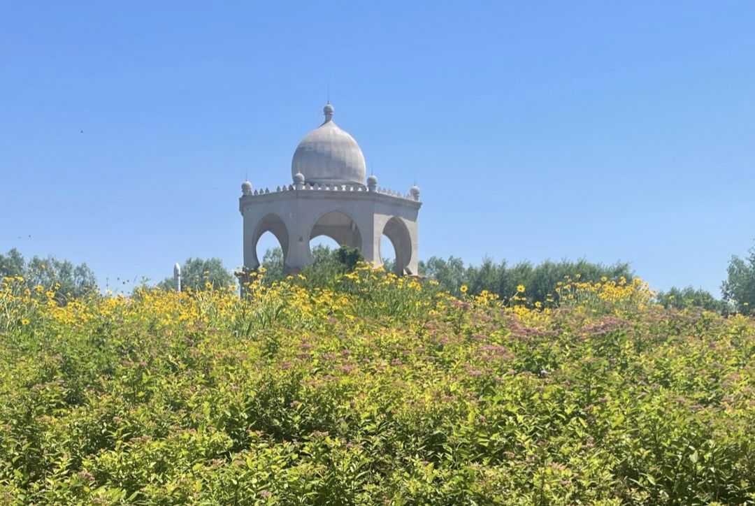稻香湖公园旅行图片 3