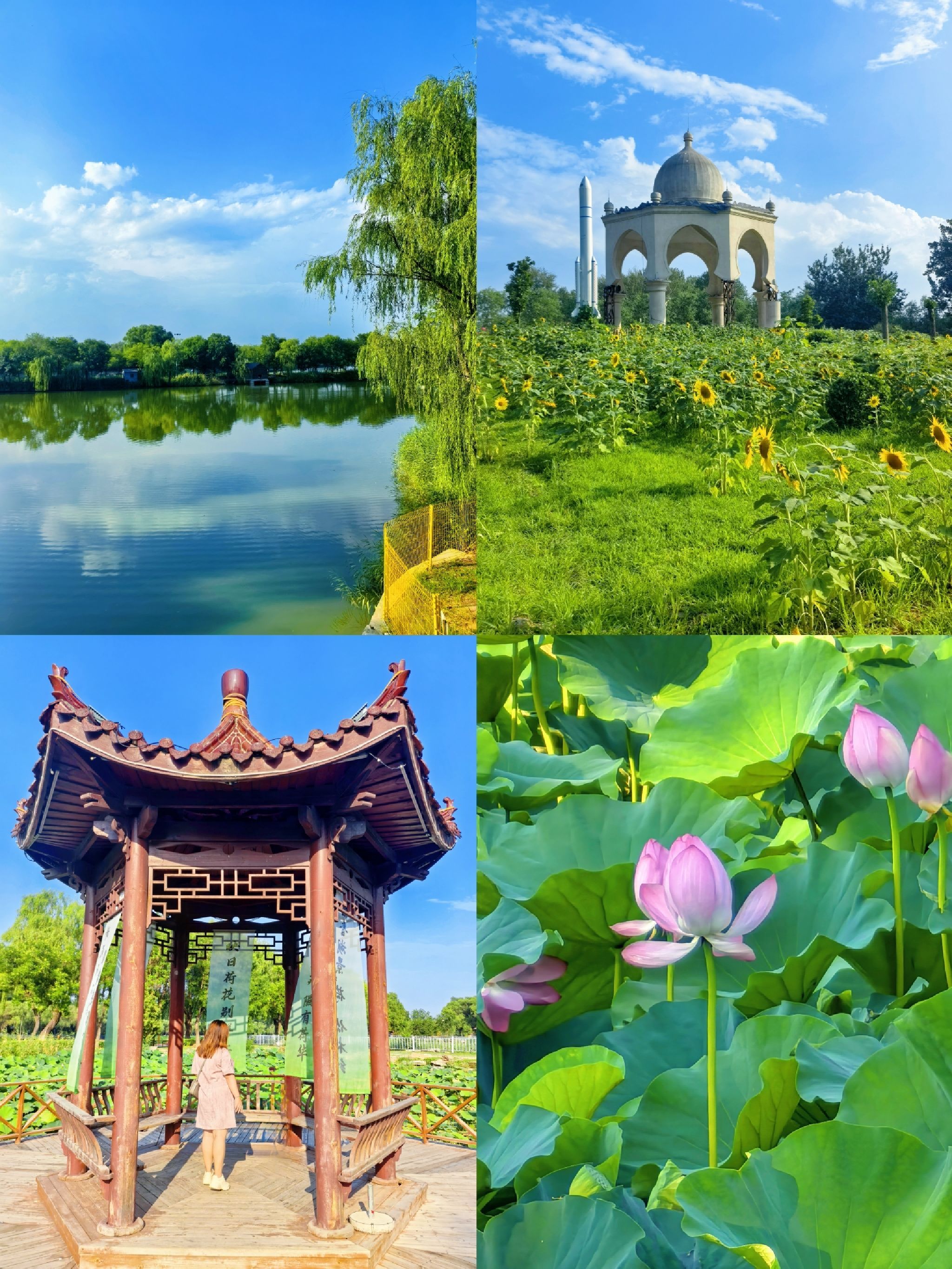 稻香湖公园旅行图片 1