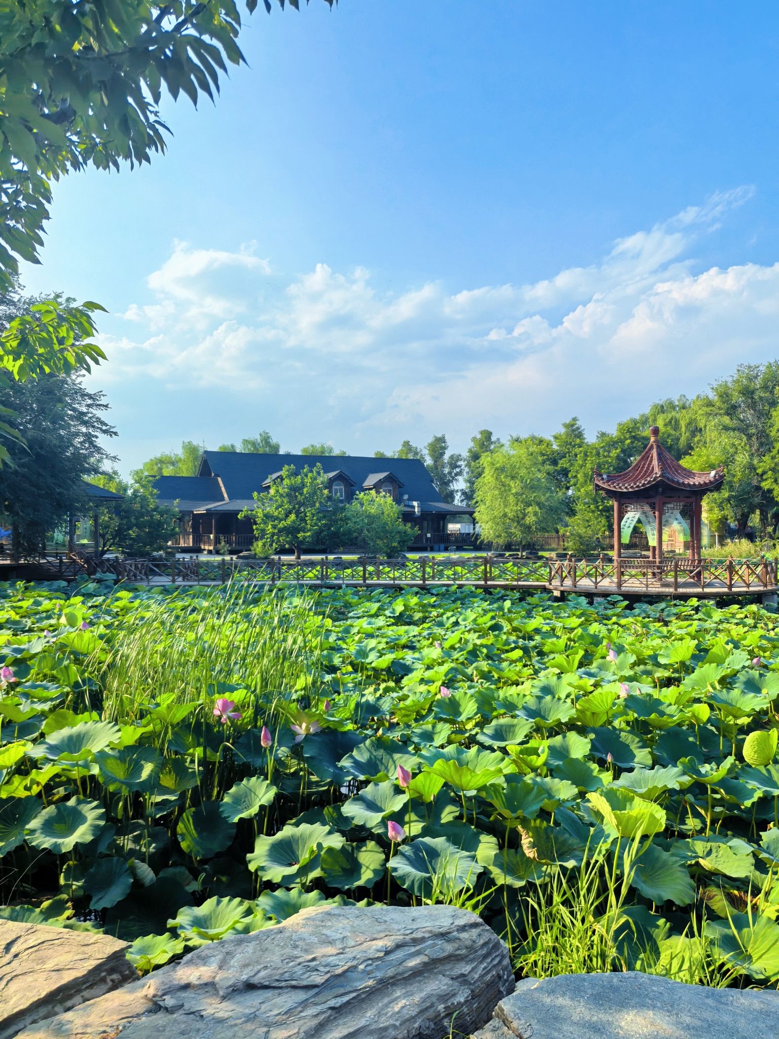 稻香湖公园旅行图片 3