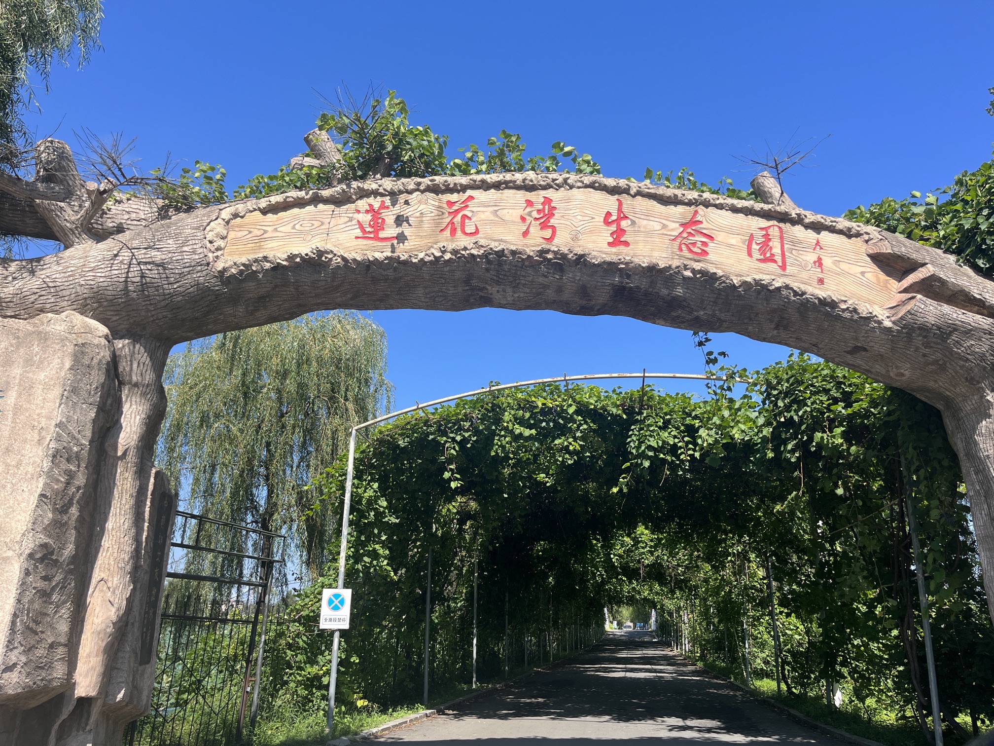 荷花莲园旅行图片 1