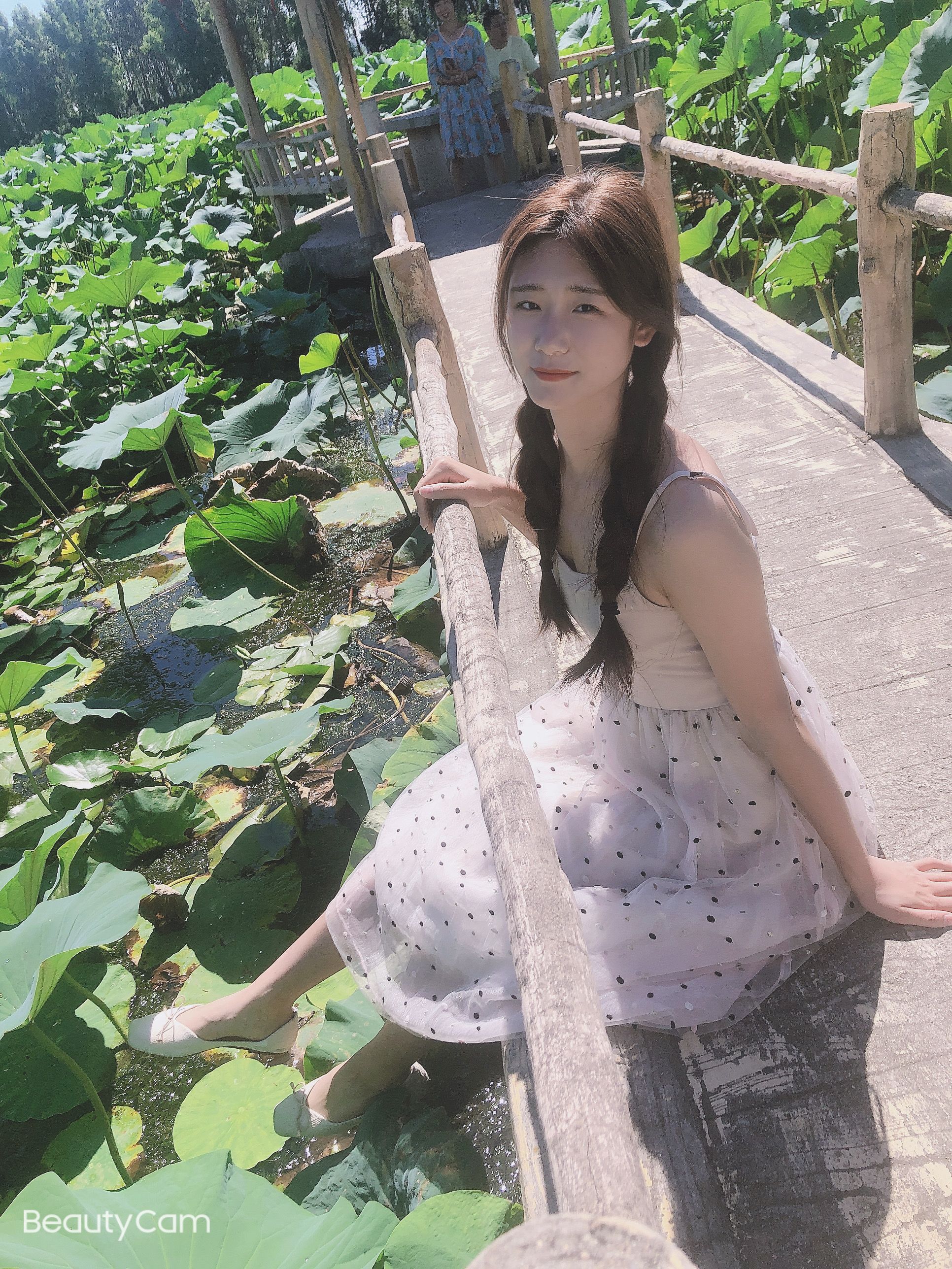 荷花莲园旅行图片 2