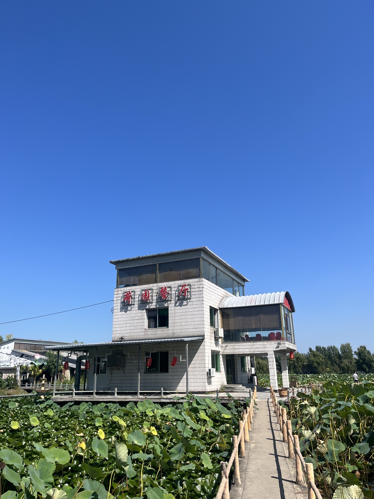 荷花莲园
