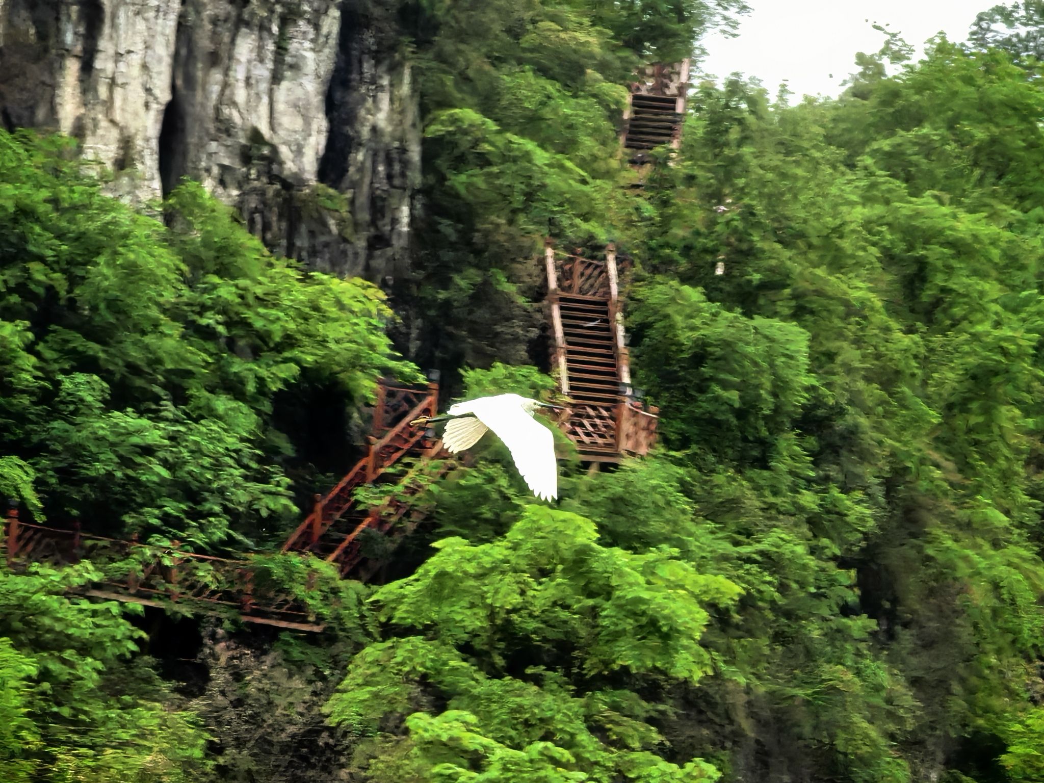 莲池·新天地旅行图片 3