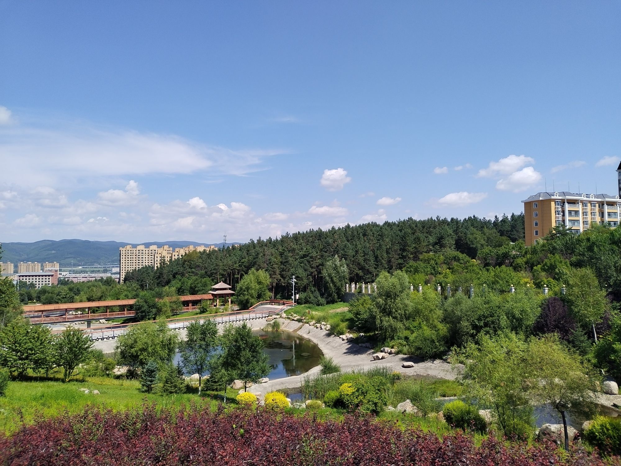 鸡西城市森林公园旅行图片 2