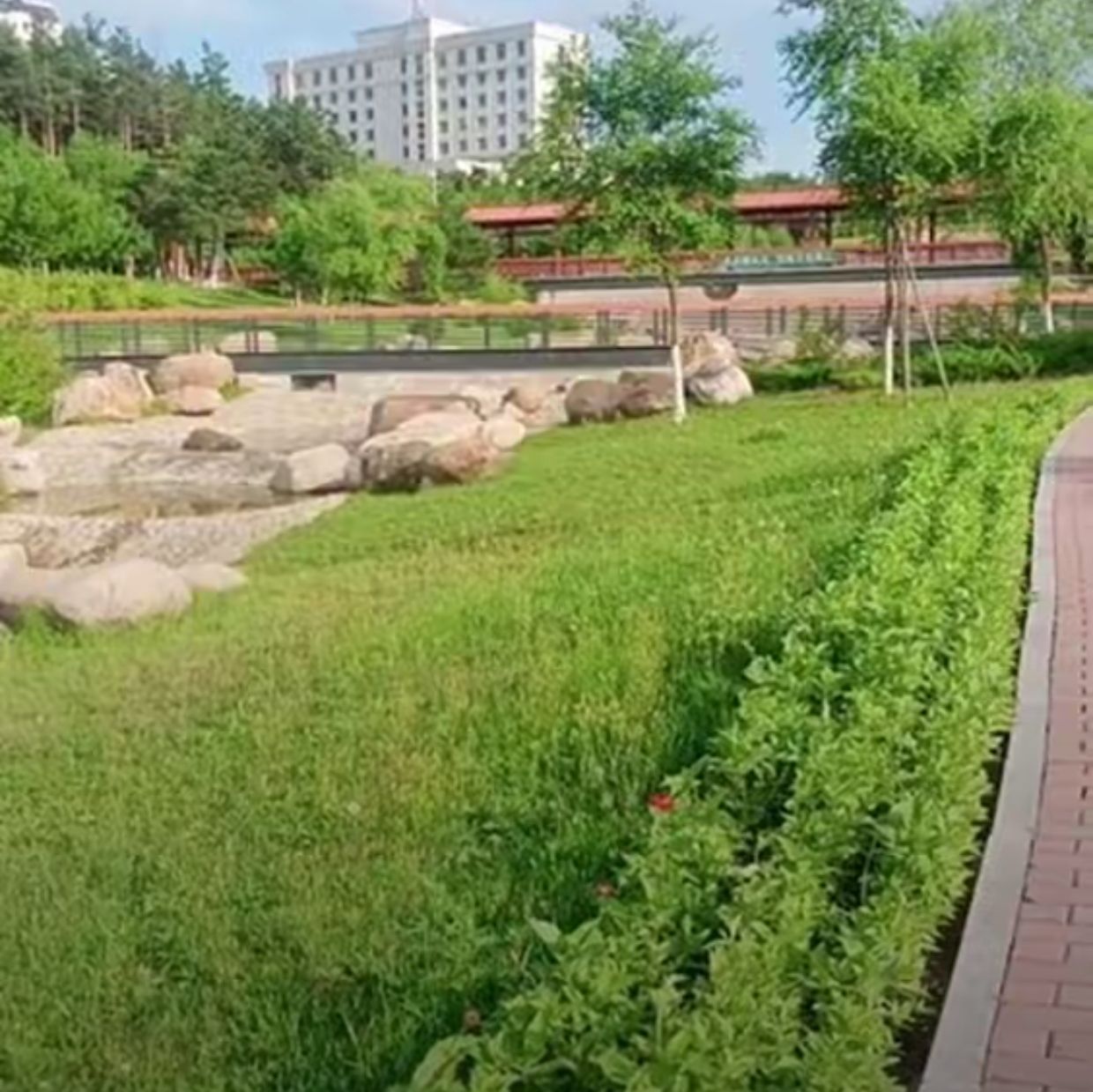 鸡西城市森林公园旅行图片 2