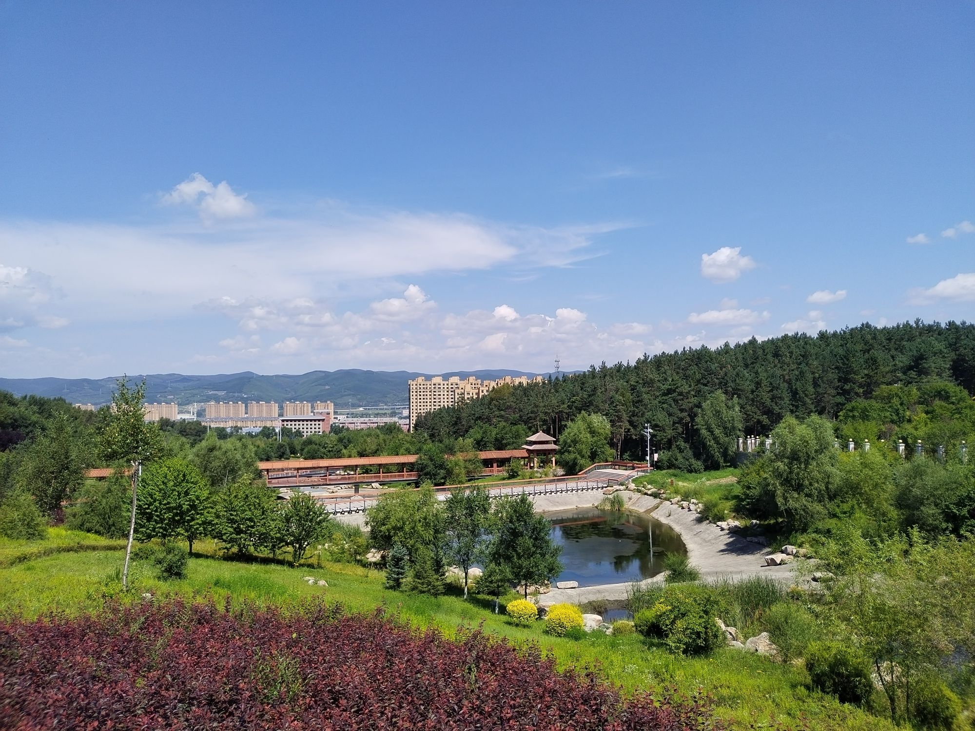 鸡西城市森林公园旅行图片 1