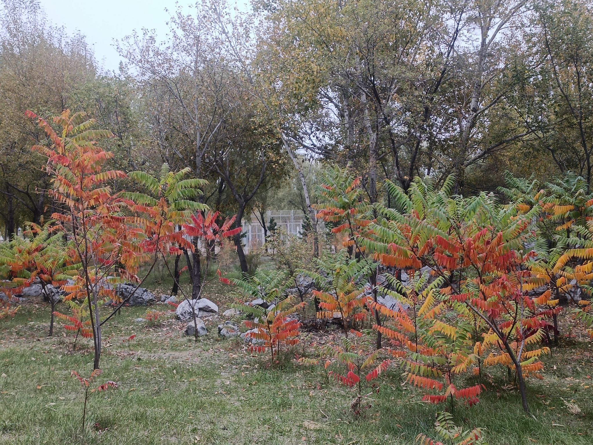 七厂公园旅行图片 2