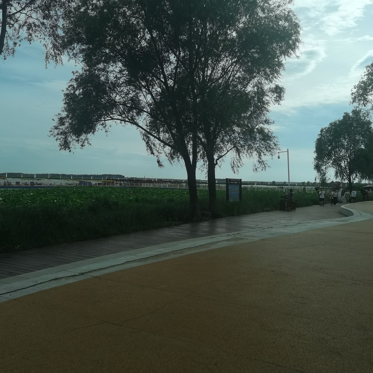 本师佛园旅行图片 2