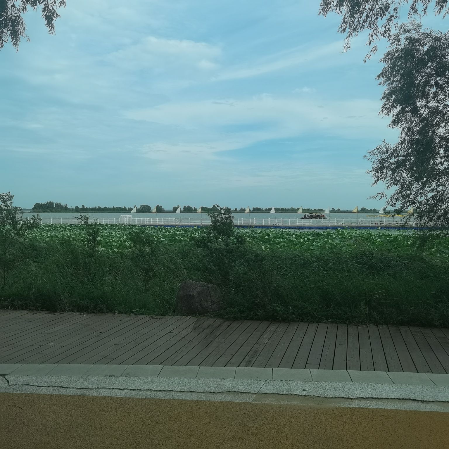 本师佛园旅行图片 3