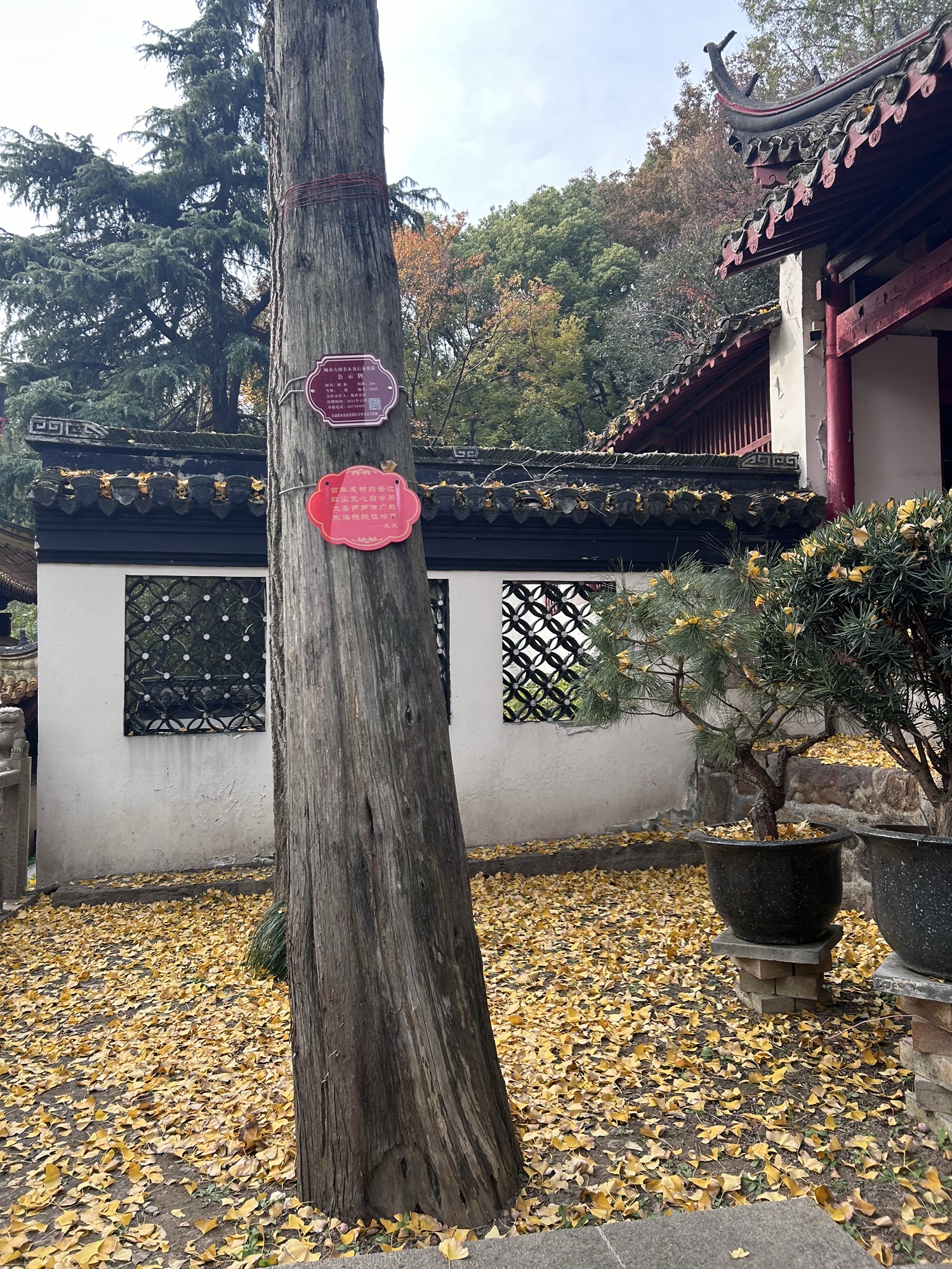南通狼山风景名胜区-宝藏殿实景照片