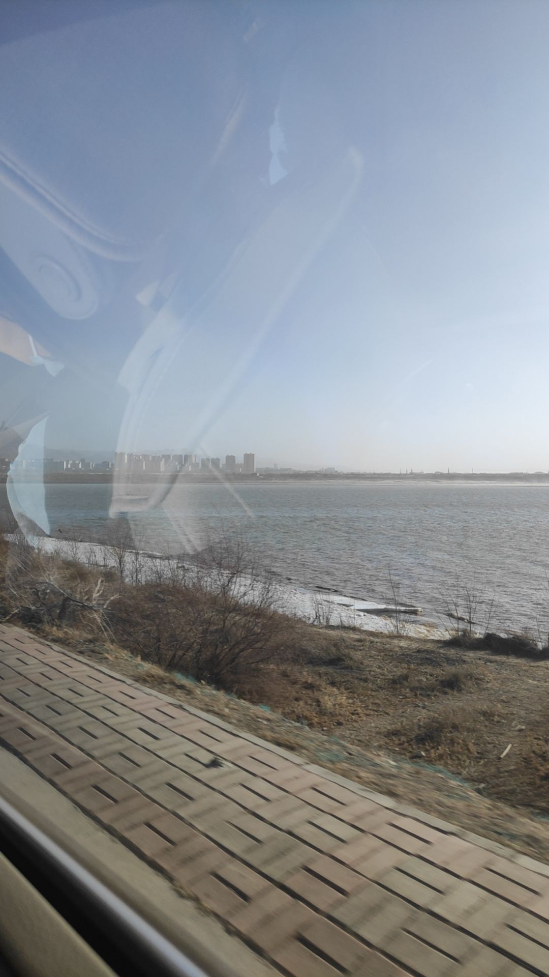 乌海市龙游湾湿地公园旅行图片 3