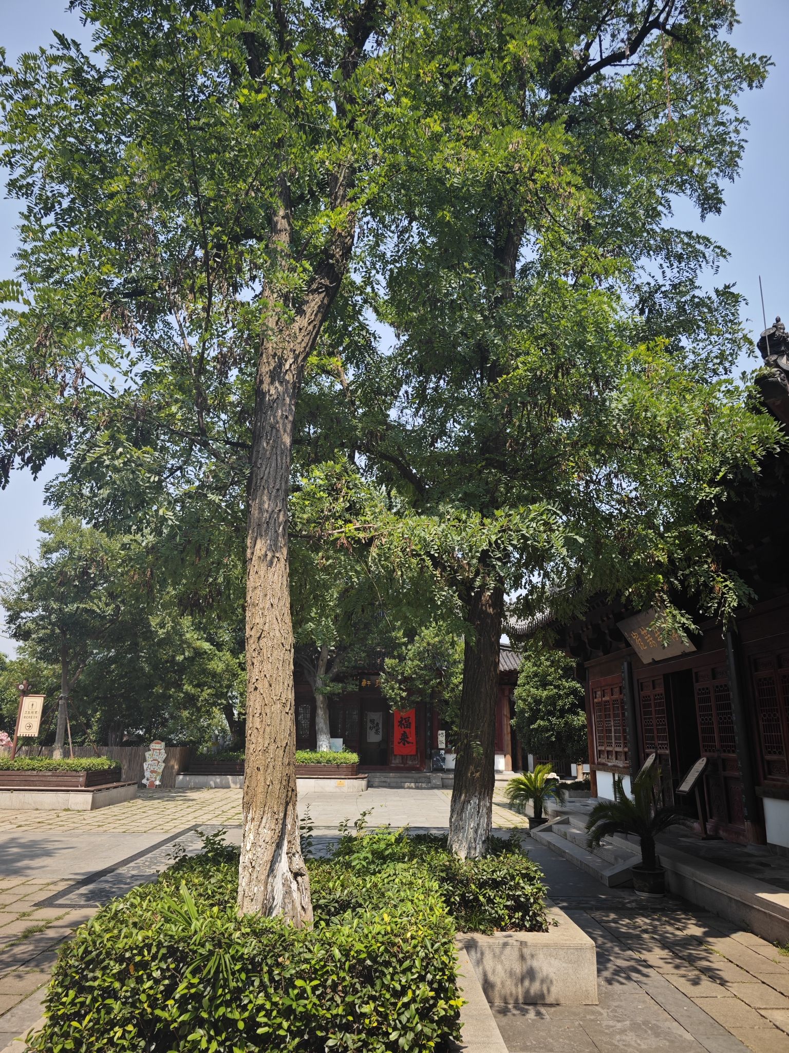云台山旅行图片 2