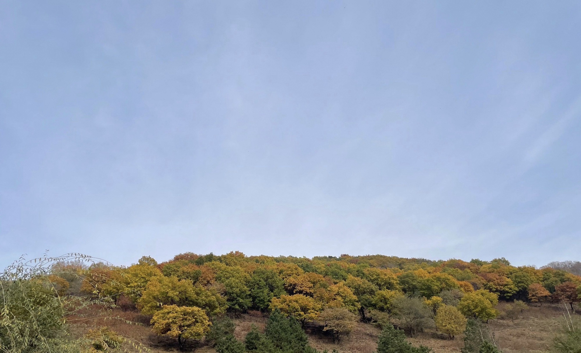 美林谷景区旅行图片 2