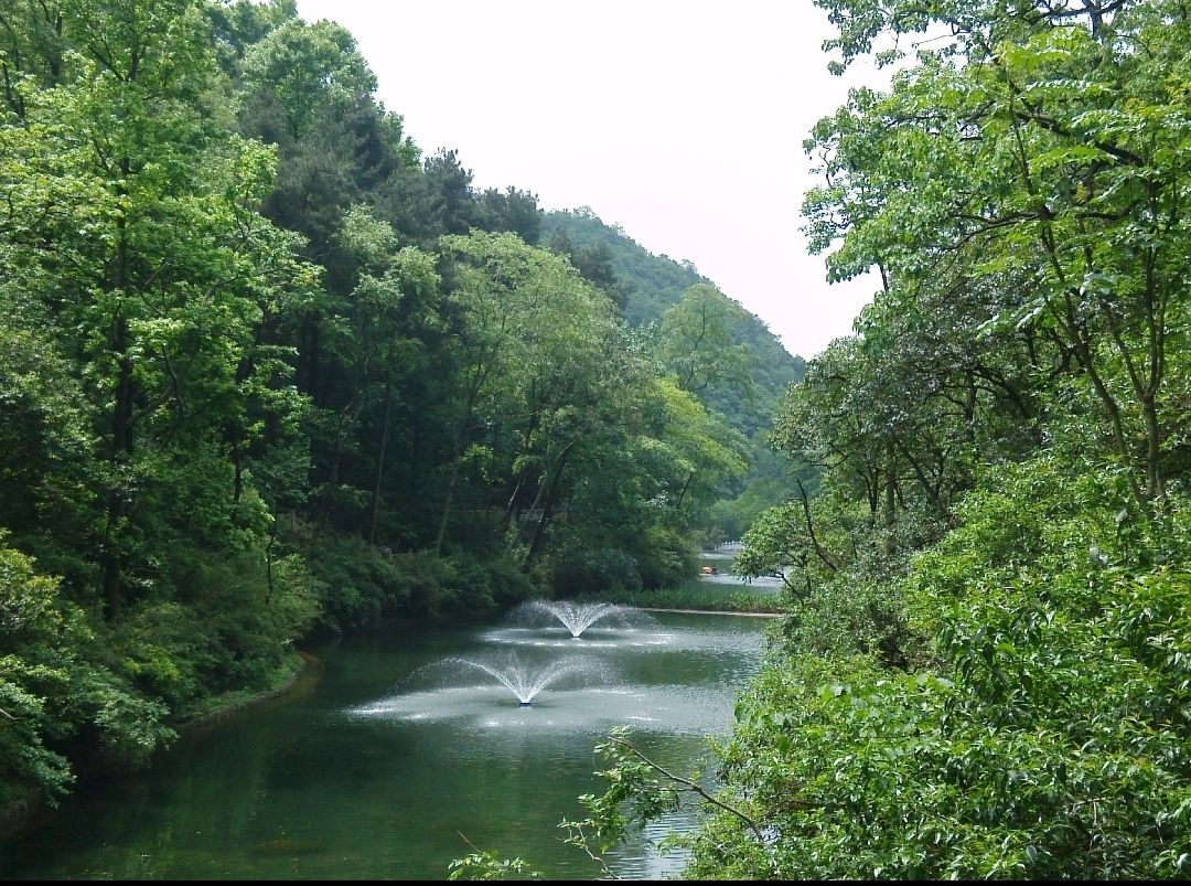 威清路