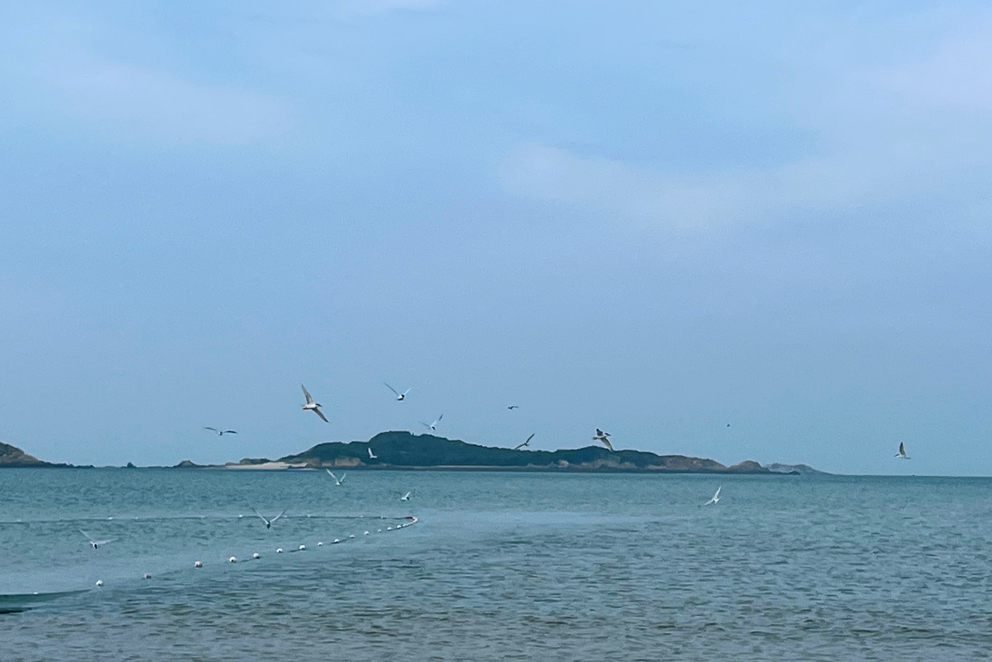 长江澳风力发电景观区旅行图片 2
