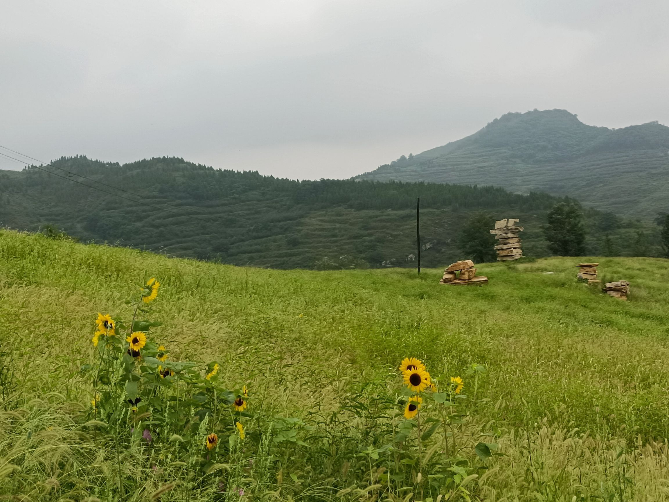 沐心·双马山旅游度假区(暂停开放)旅行图片 2