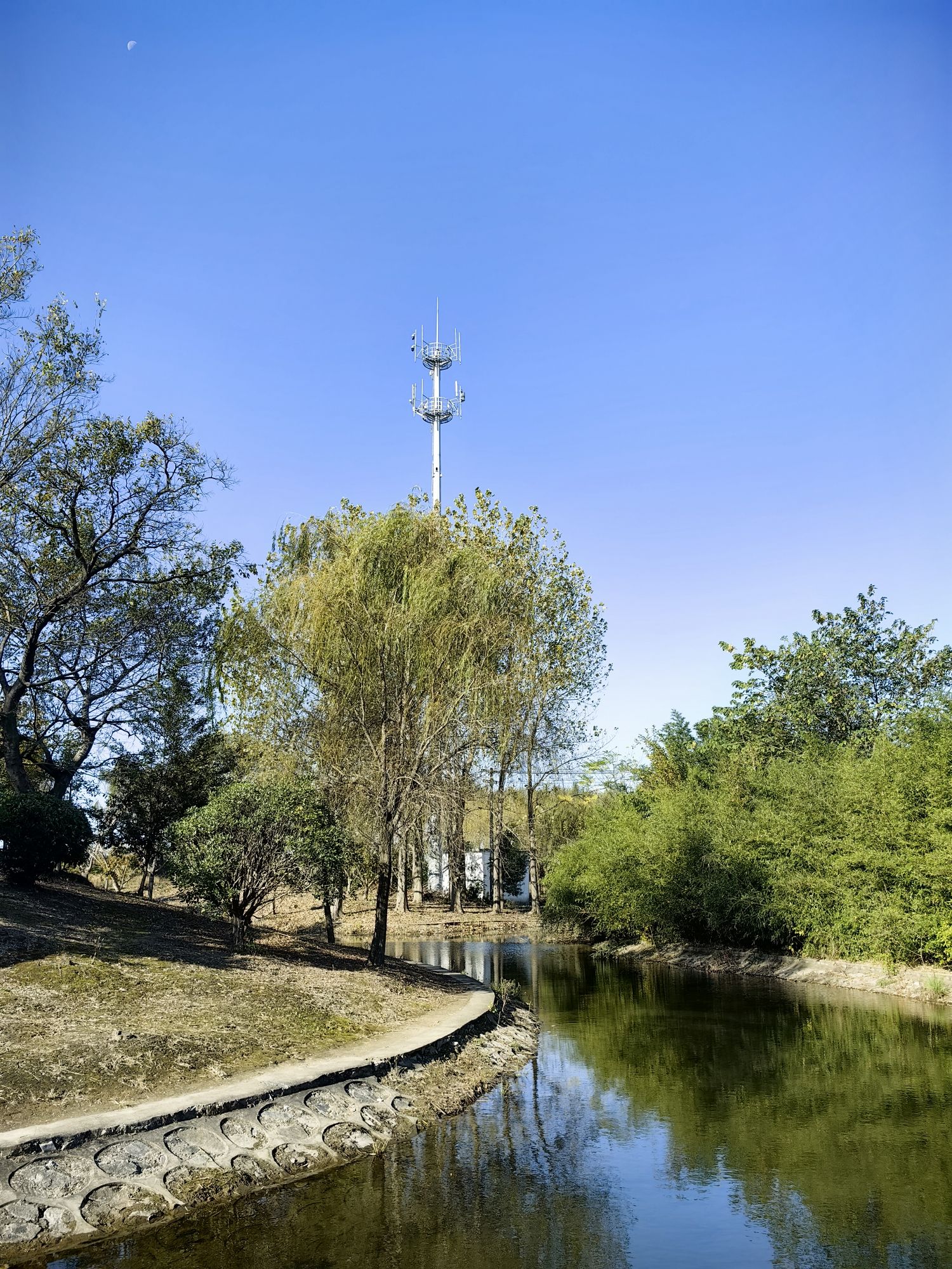 泰州春江湿地公园旅行图片 3