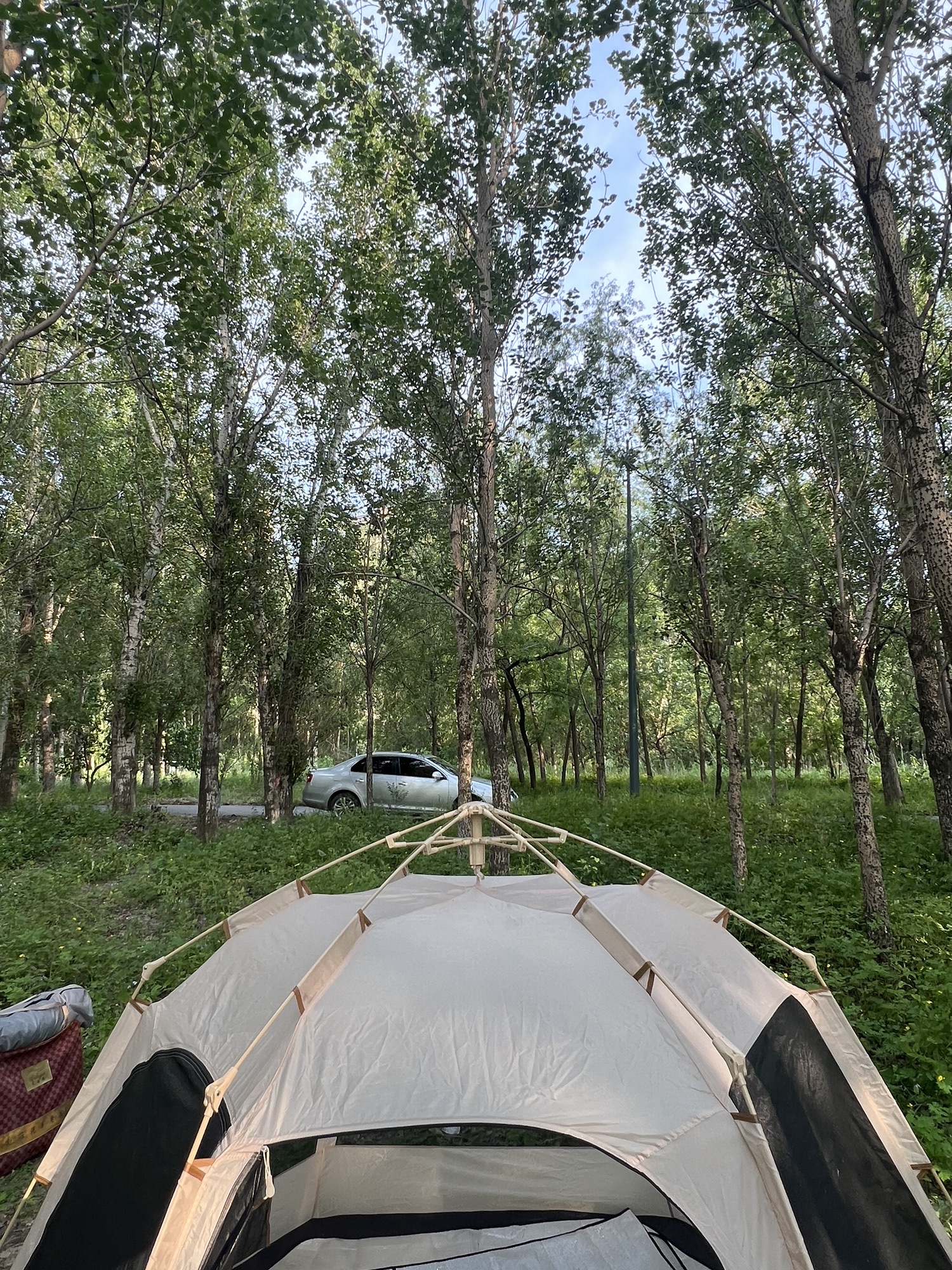 白沙岛公园旅行图片 2