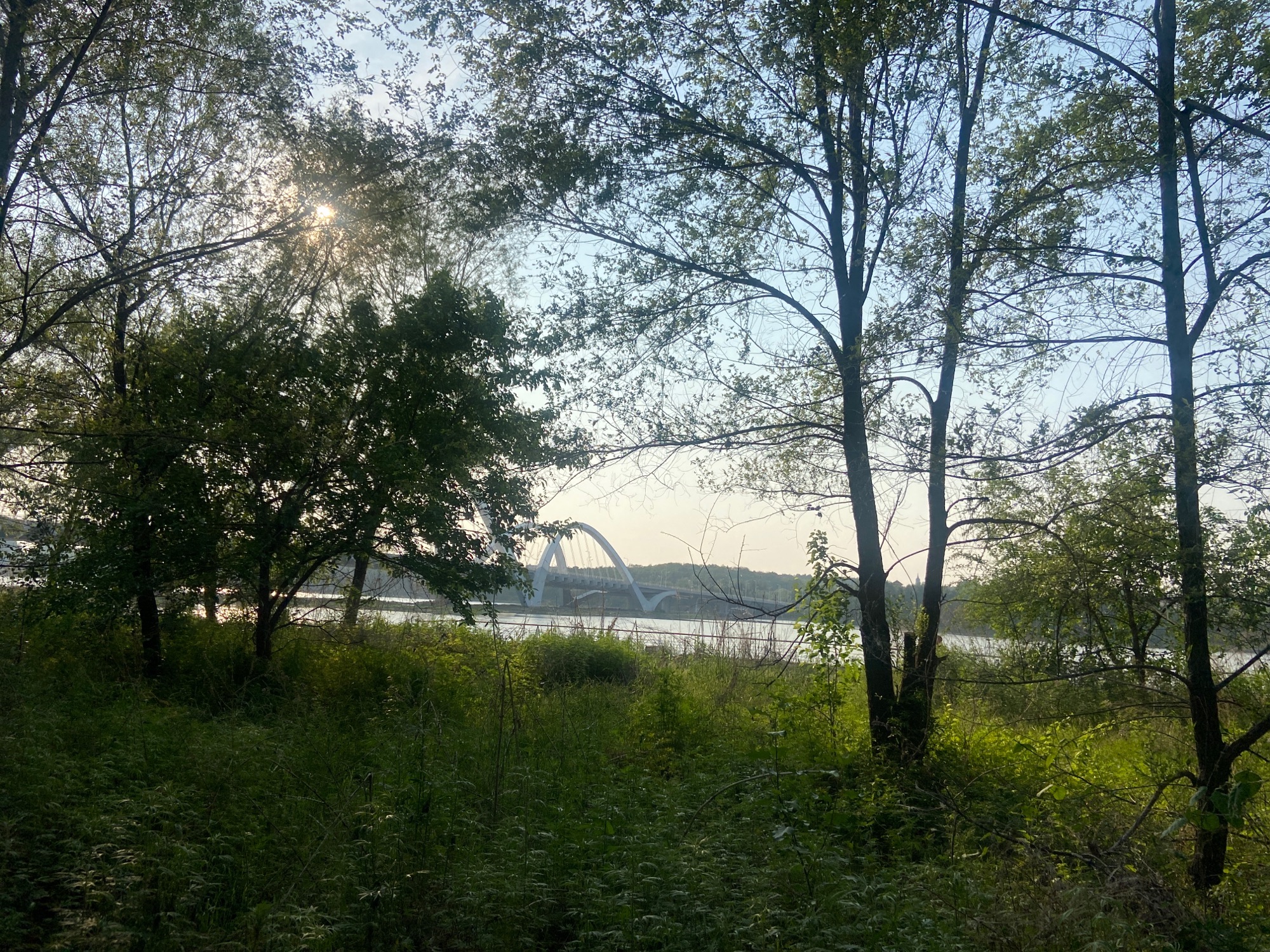 白沙岛公园旅行图片 2