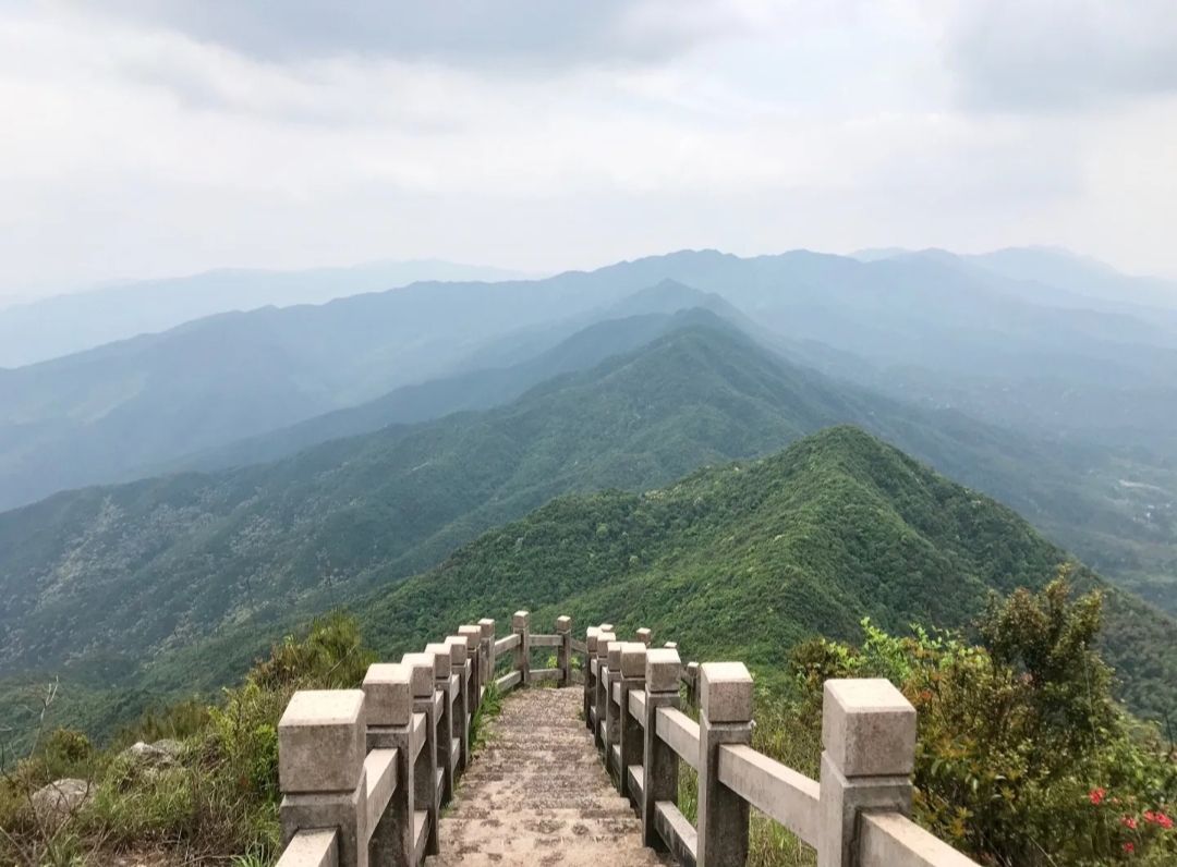 龙华山风景区旅行图片 3