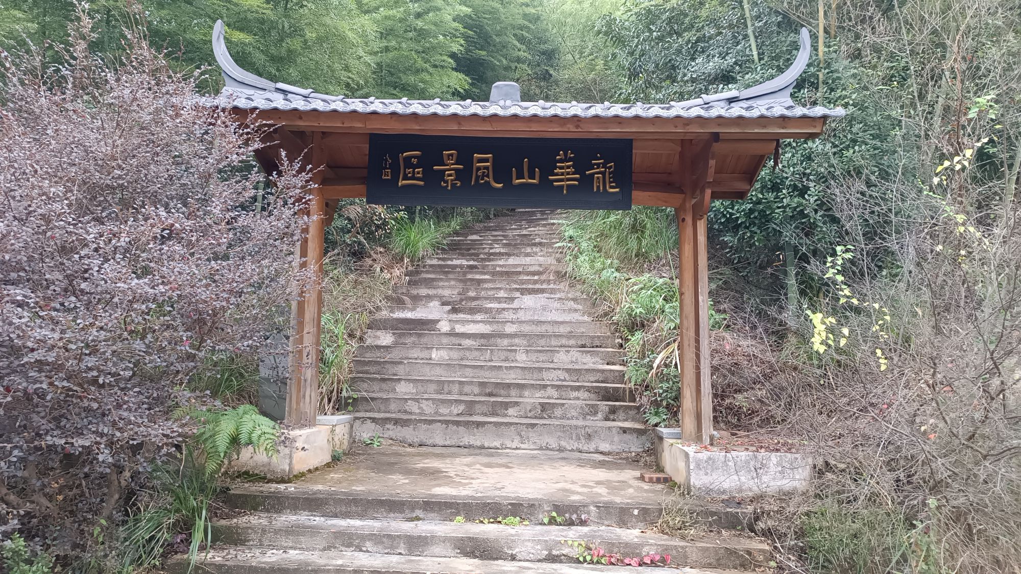 龙华山风景区旅行图片 1