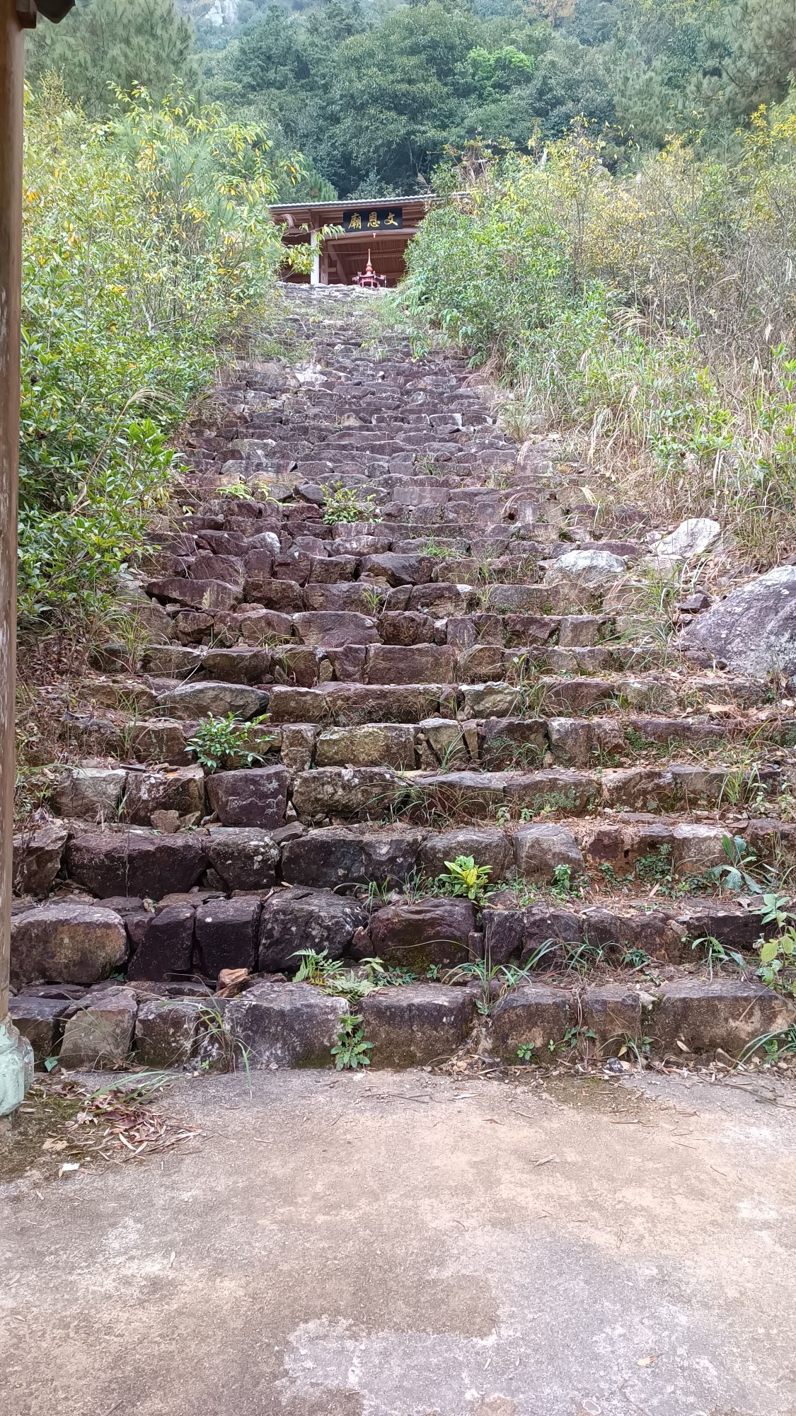 龙华山风景区旅行图片 3