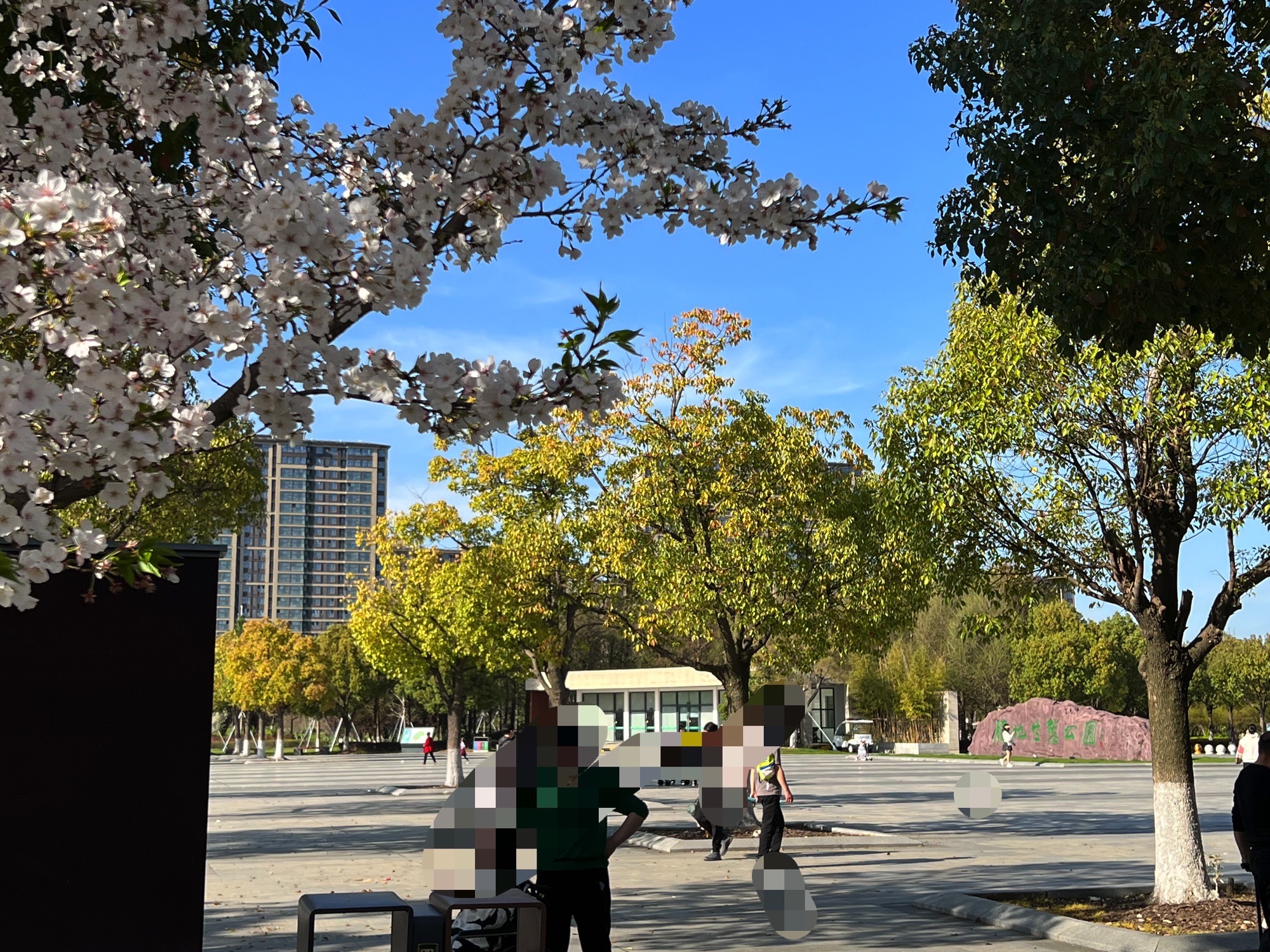 胜地生态公园旅行图片 1