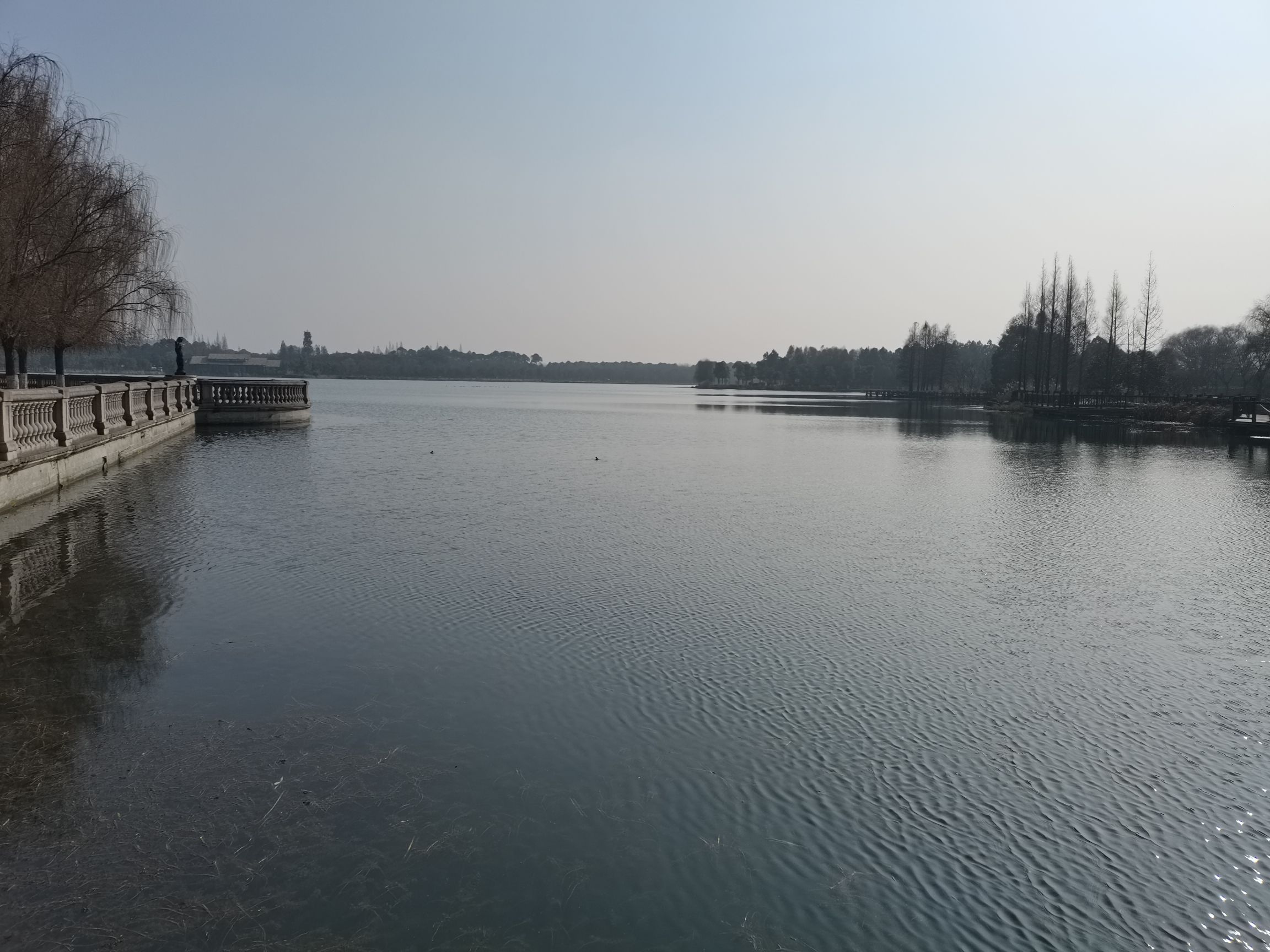 胜地生态公园旅行图片 3