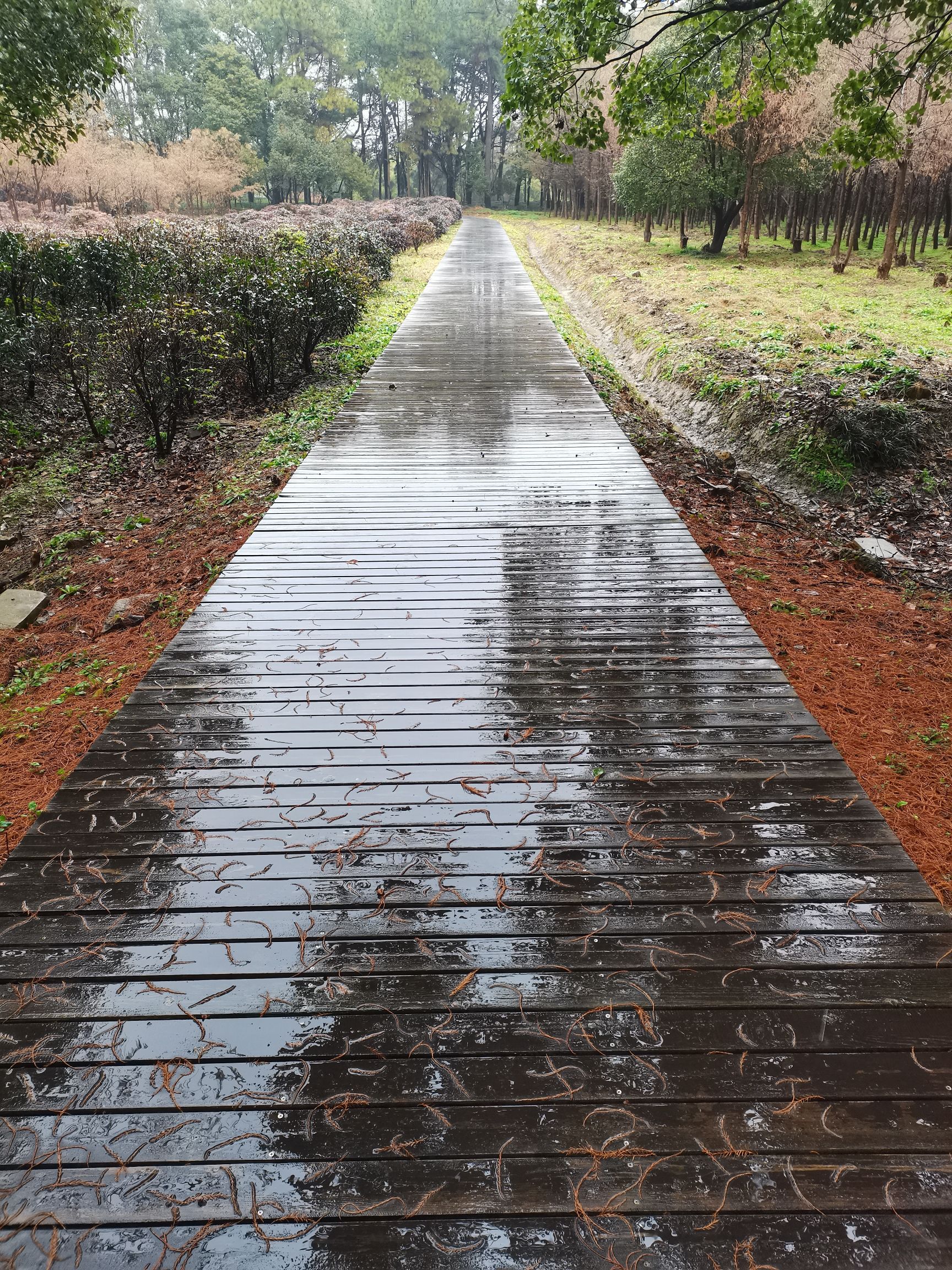 胜地生态公园旅行图片 1