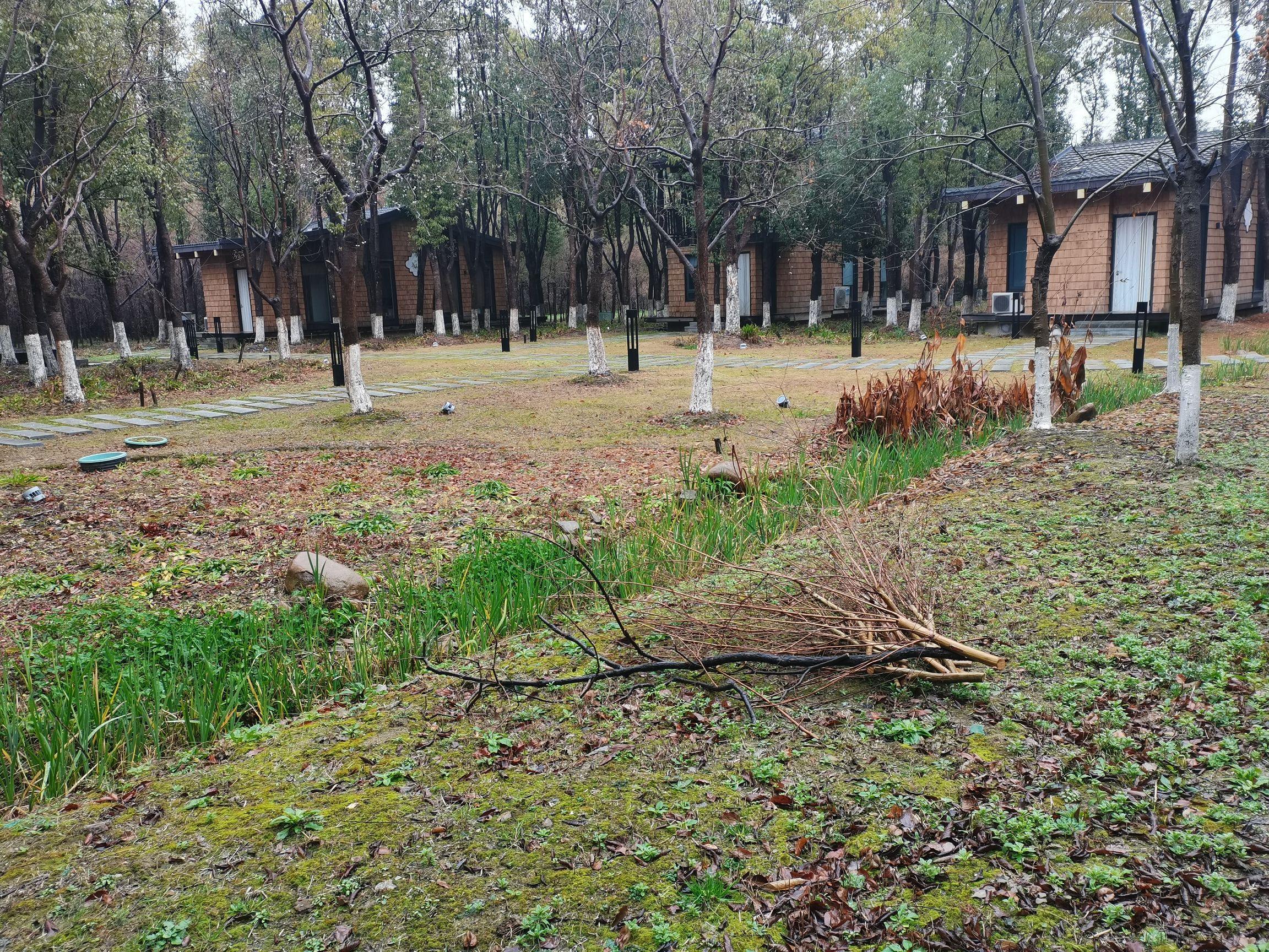 胜地生态公园旅行图片 2
