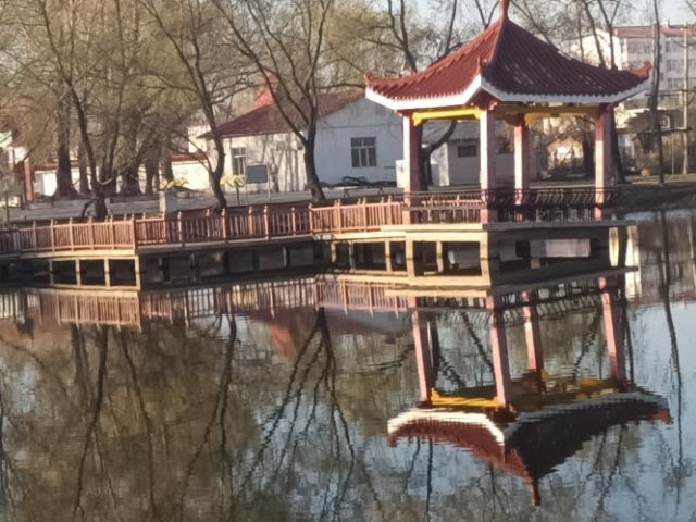 御绿公园旅行图片 2