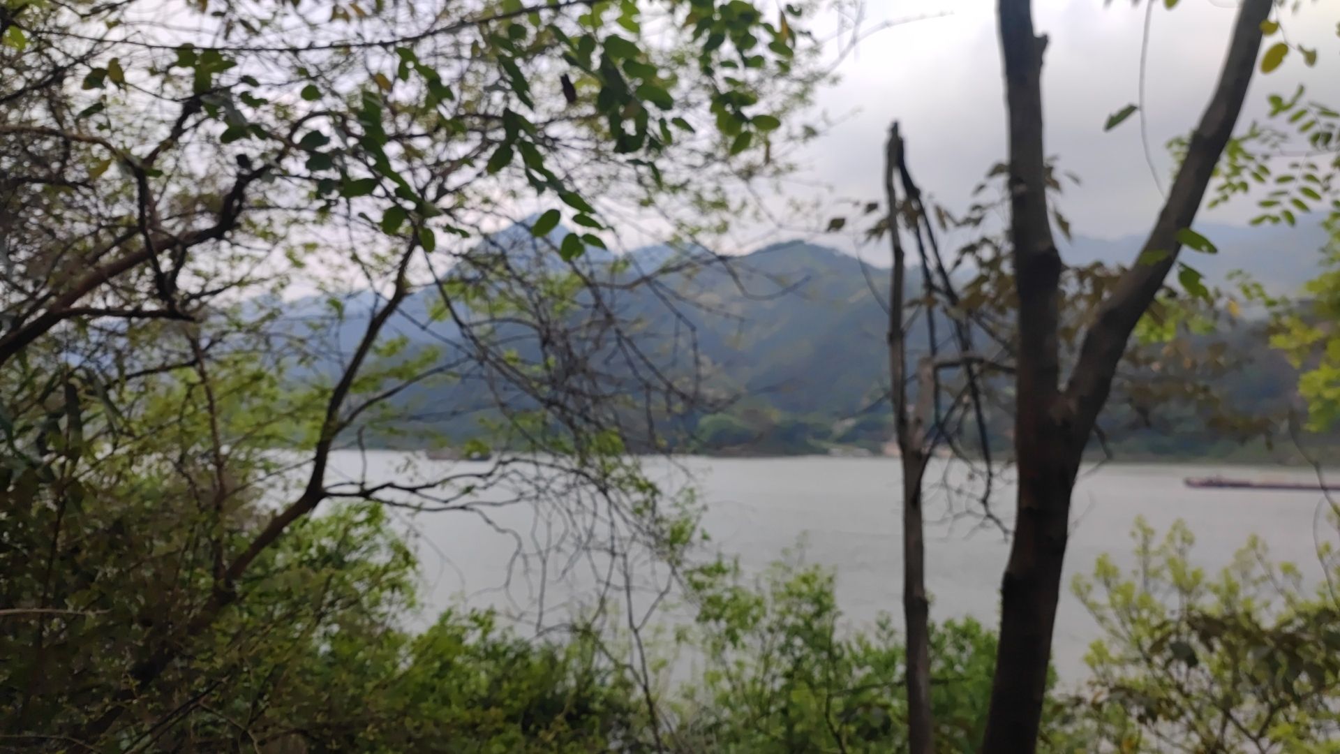 羚羊峡古栈道森林公园旅行图片 2