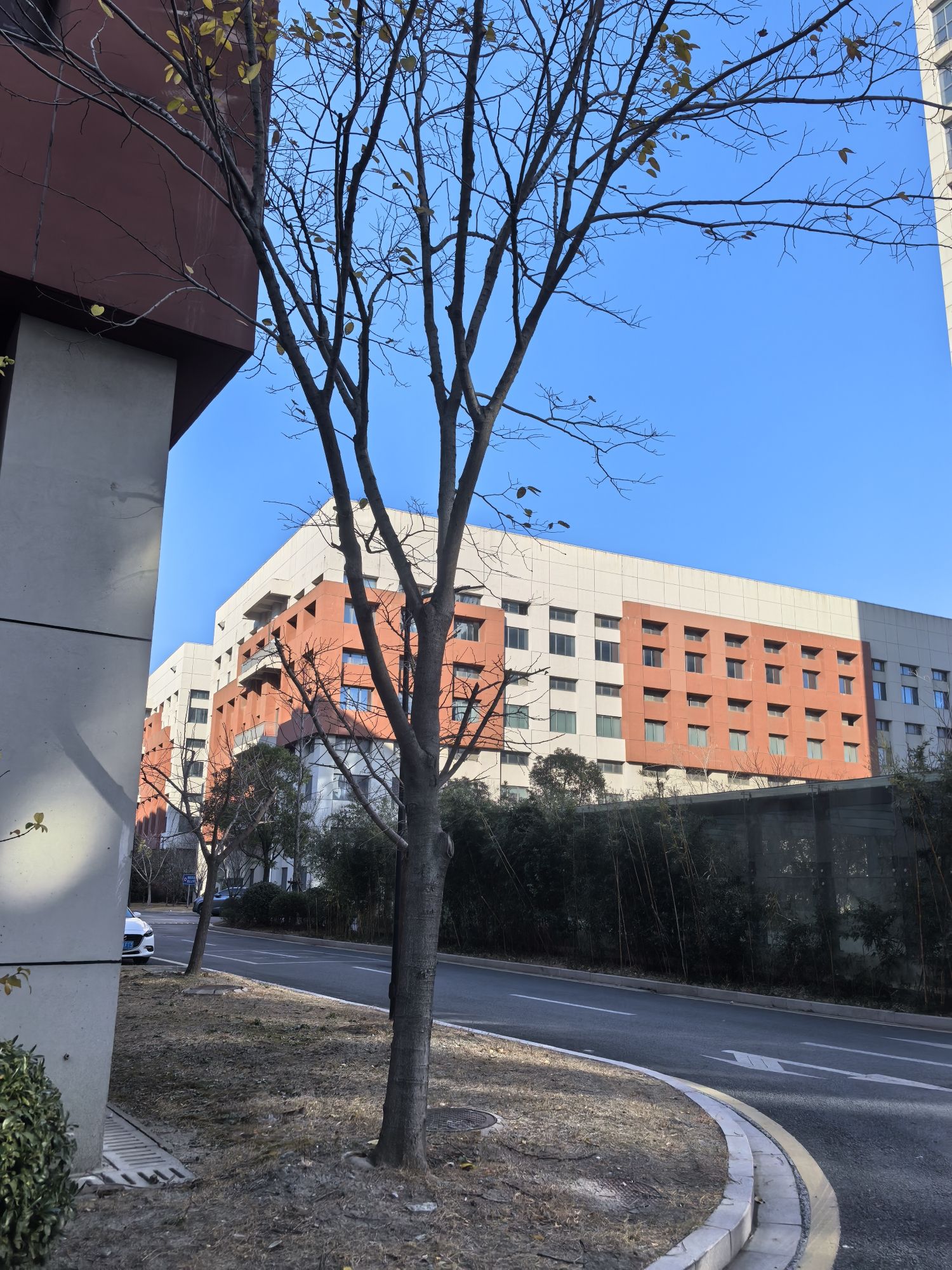 中国医药城5期实景图（2）