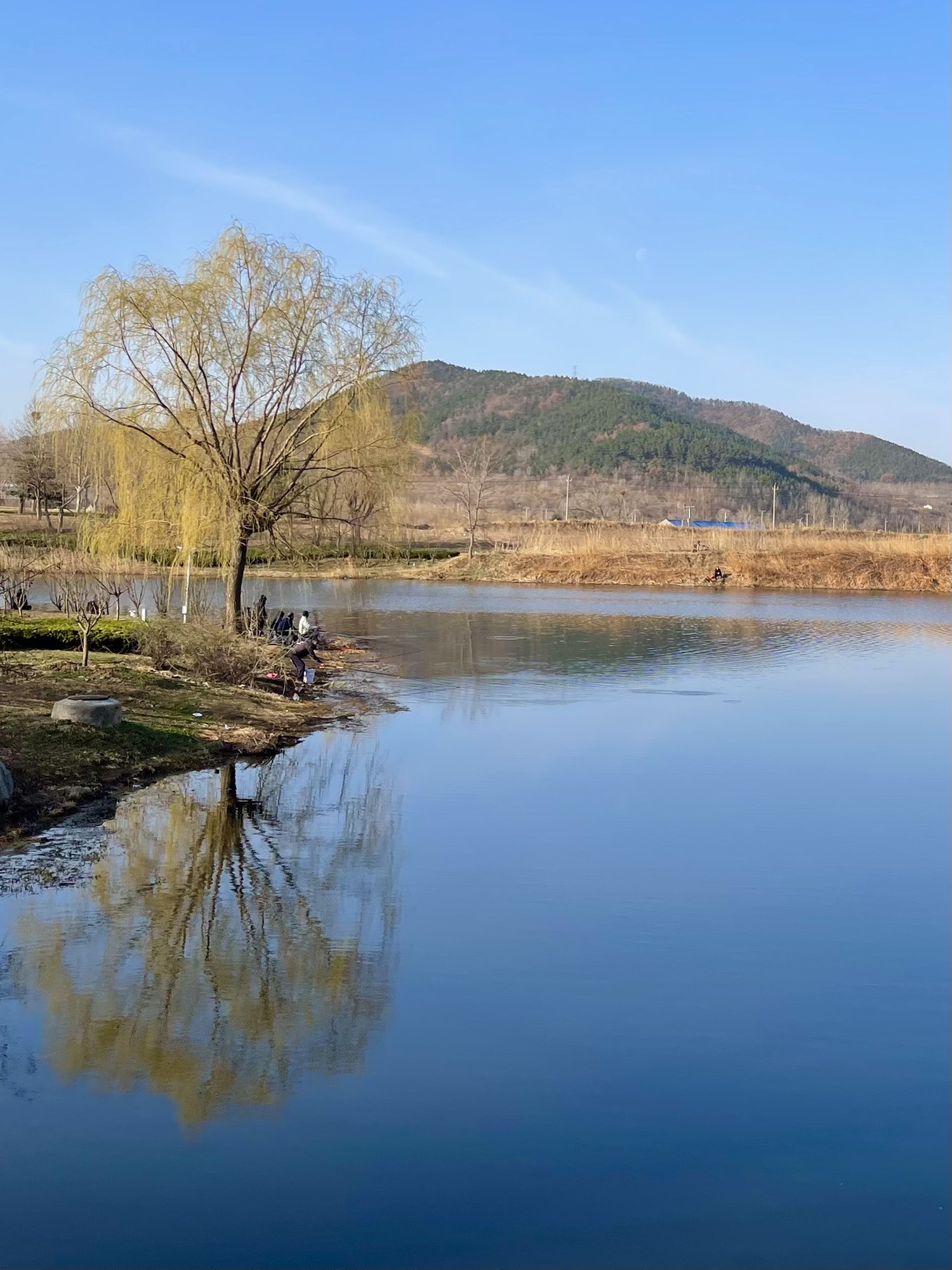 羊亭河湿地公园旅行图片 3