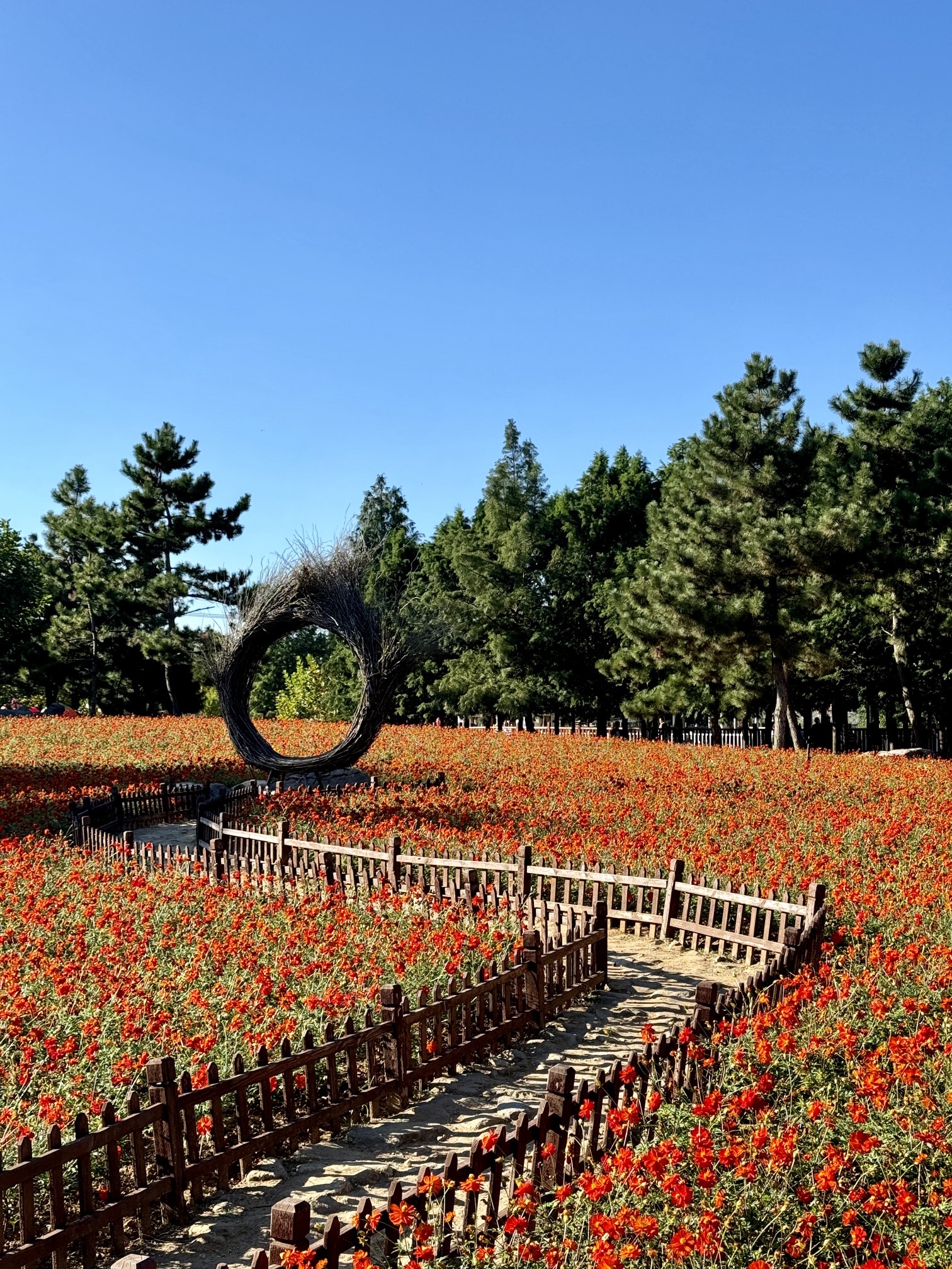 羊亭河湿地公园旅行图片 3
