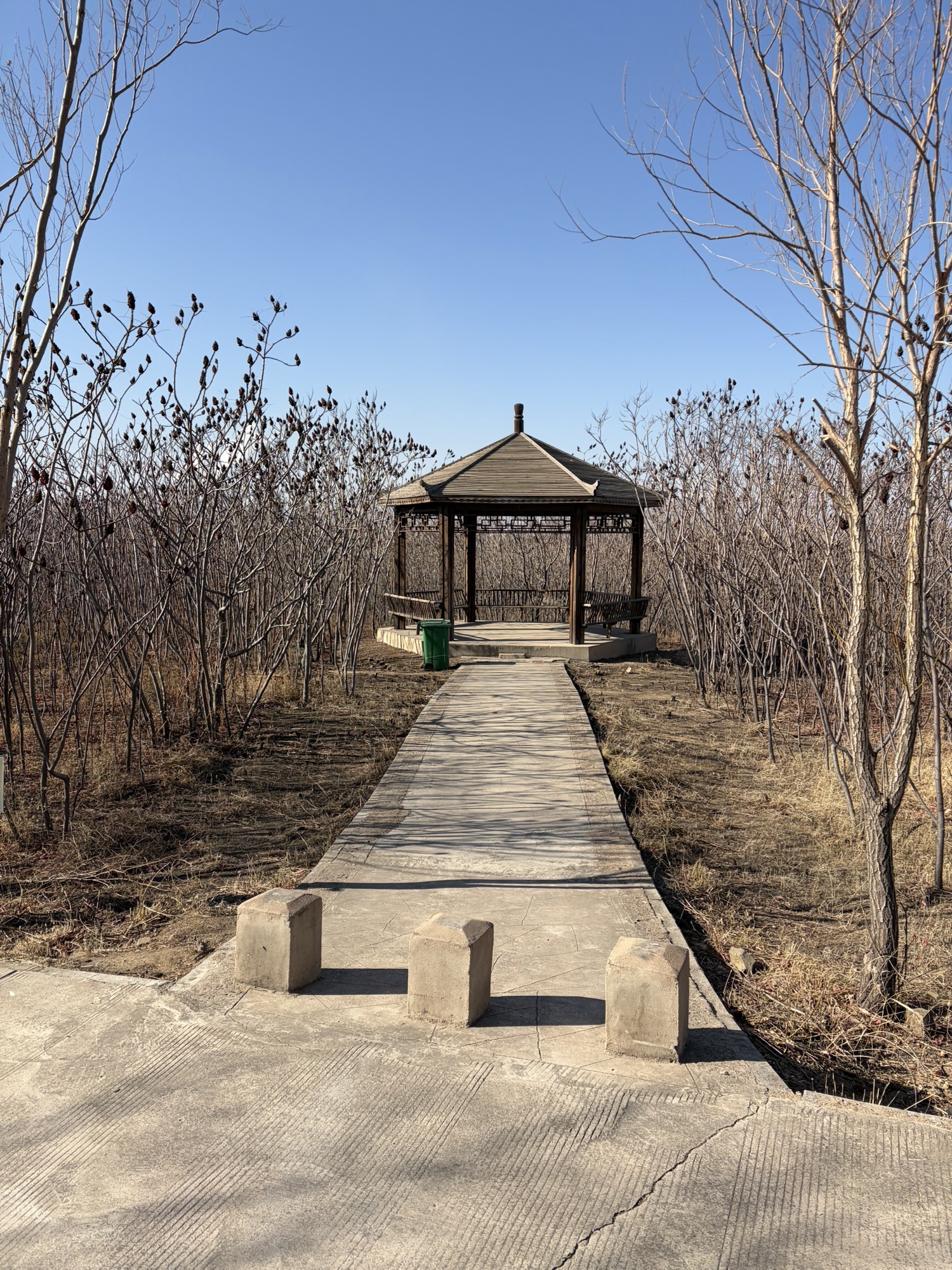 阜新市中西部煤矿区公园