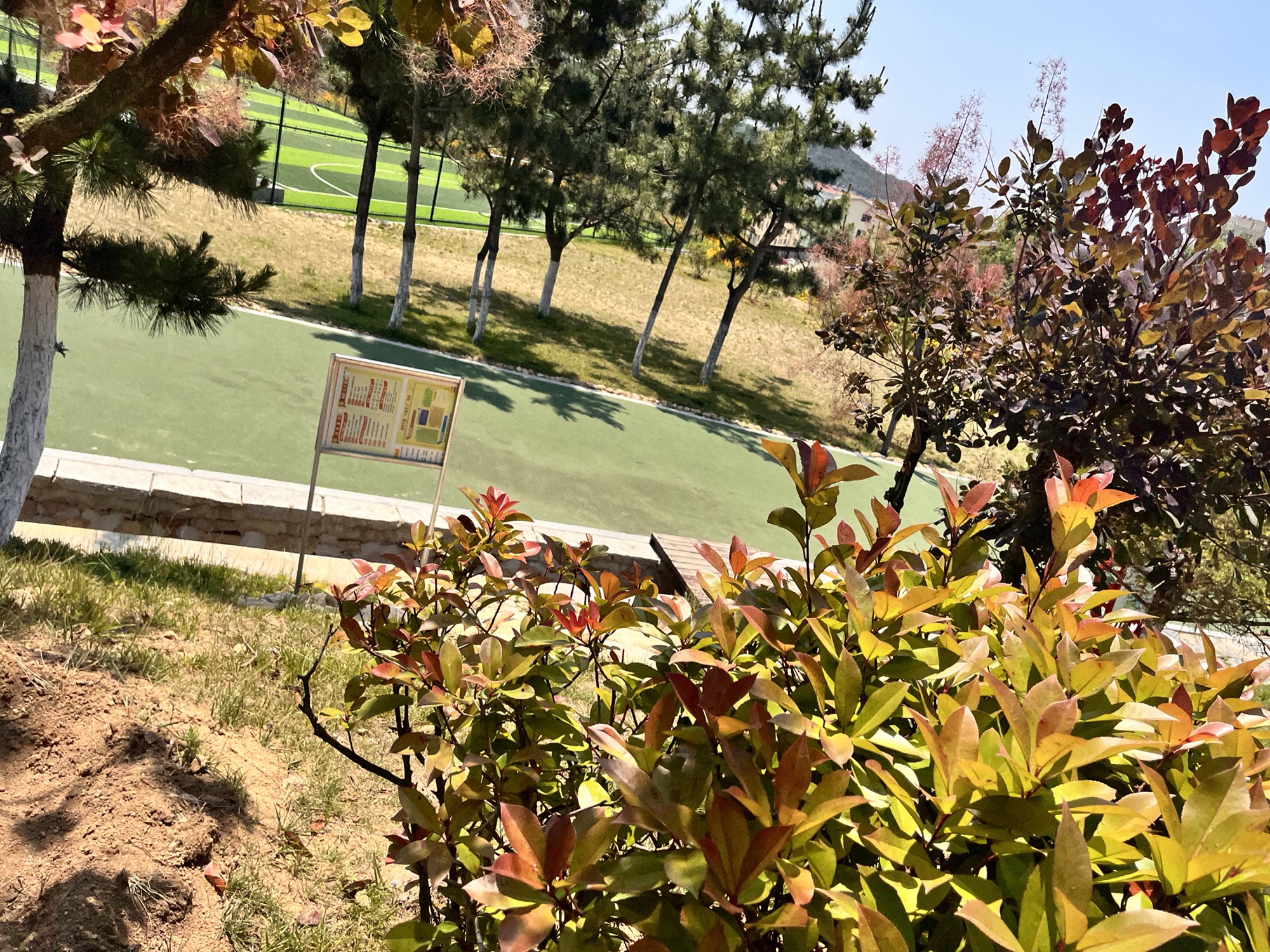 秀山公园旅行图片 2