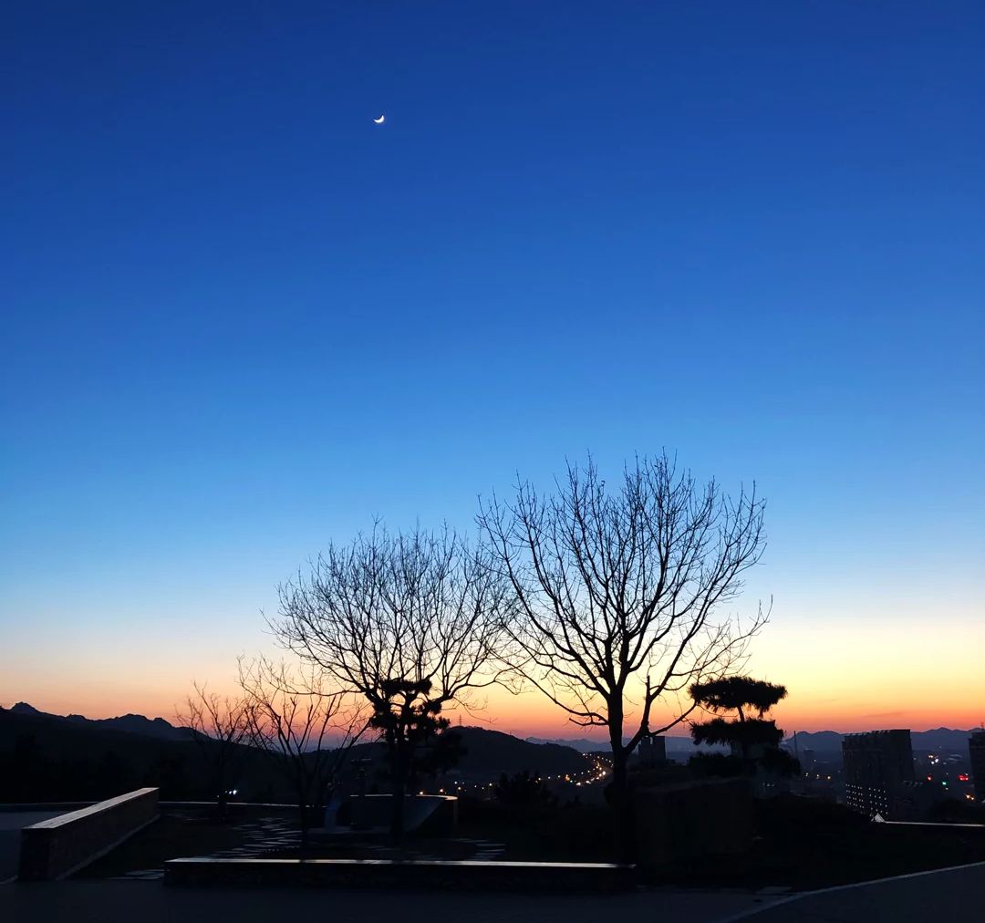 秀山公园旅行图片 1