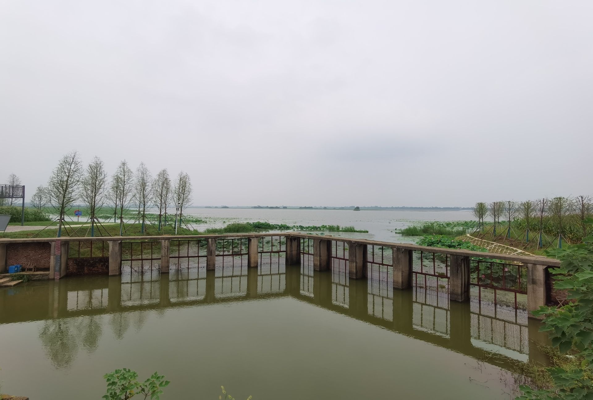 荆州市菱角湖国家湿地公园