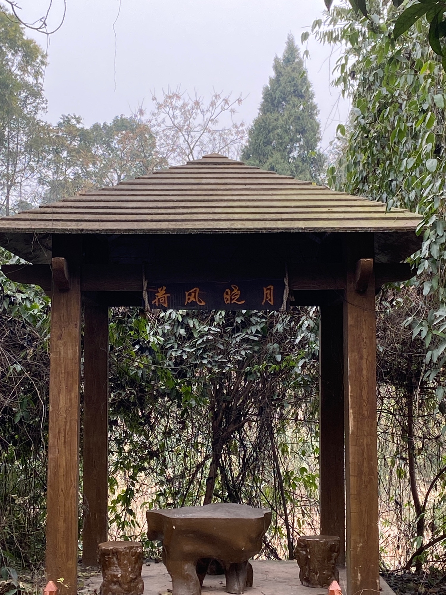 四川国际寿星谷旅行图片 1