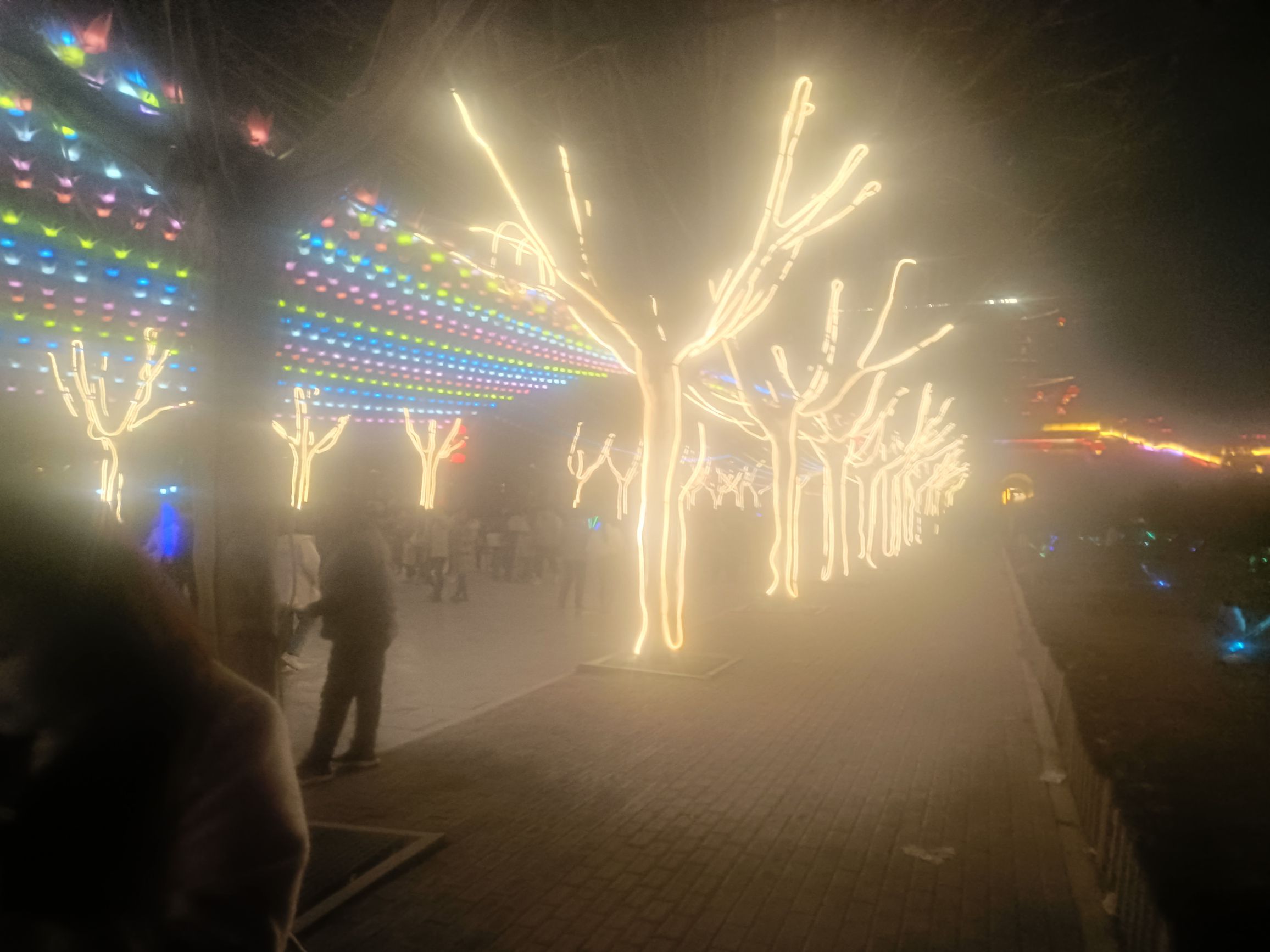 魏祠公园旅行图片 1