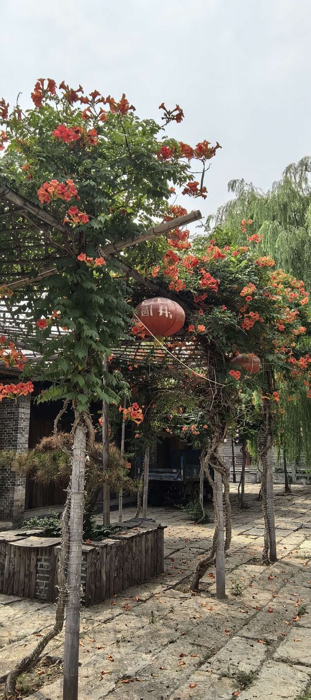 魏集古村落旅行图片 3