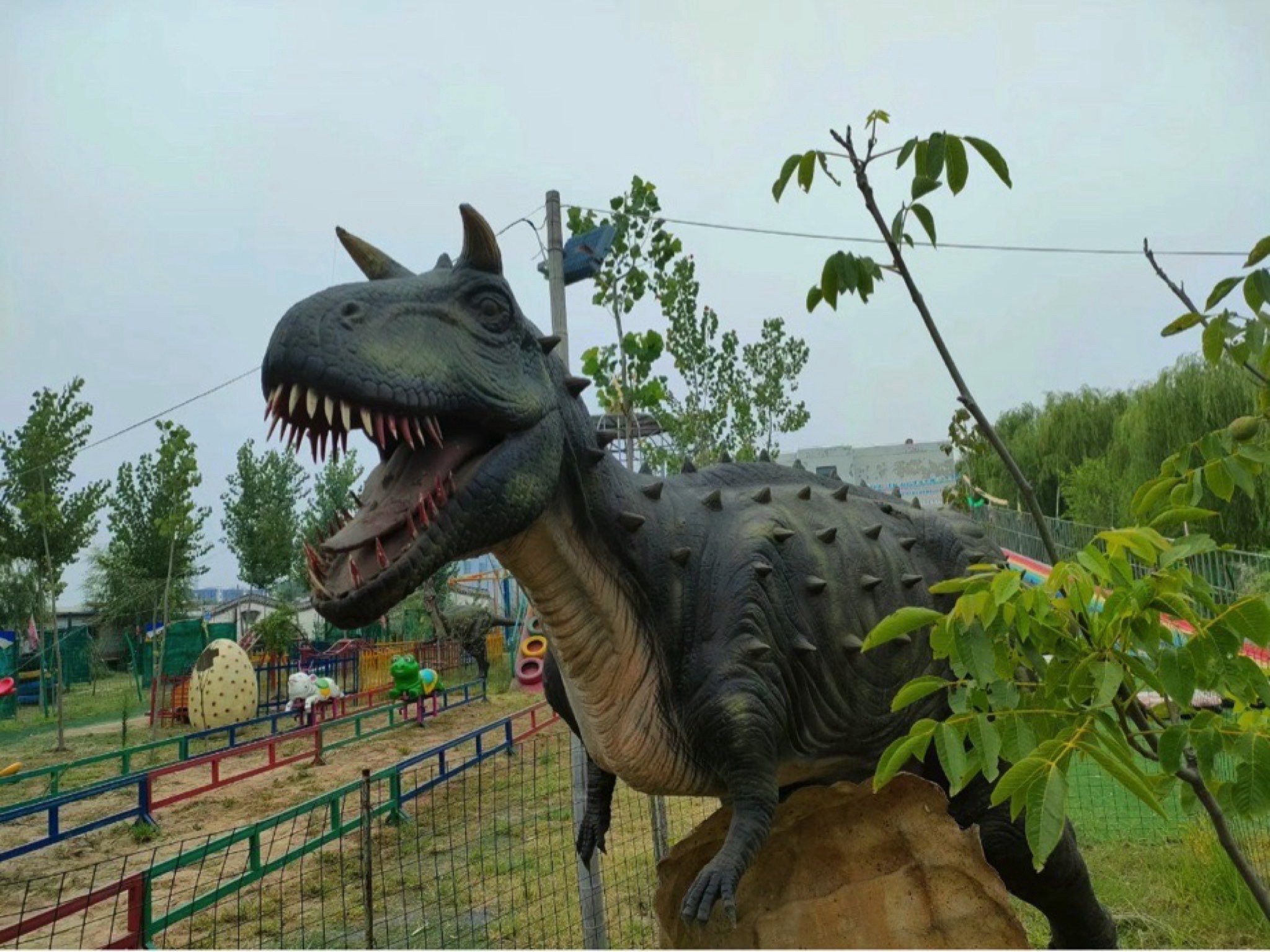 魏集古村落旅行图片 3