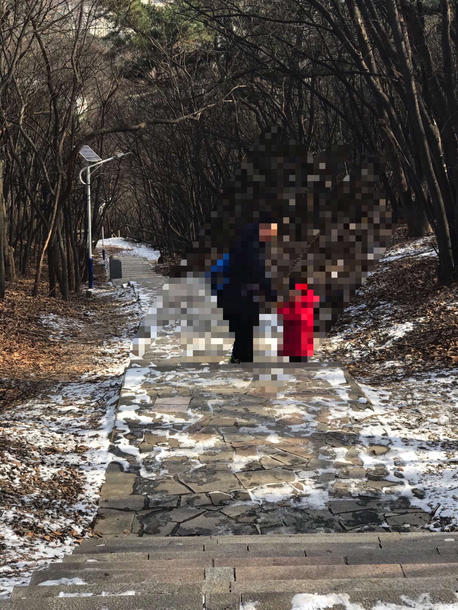 南山健身公园旅行图片 3